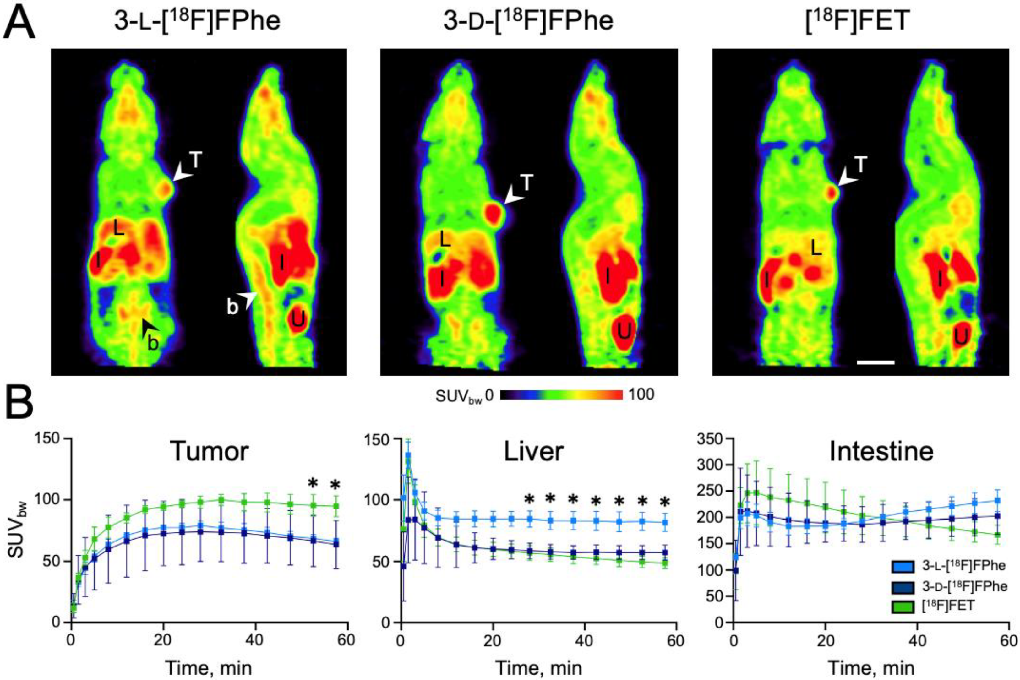 Cancers 13 06030 g008