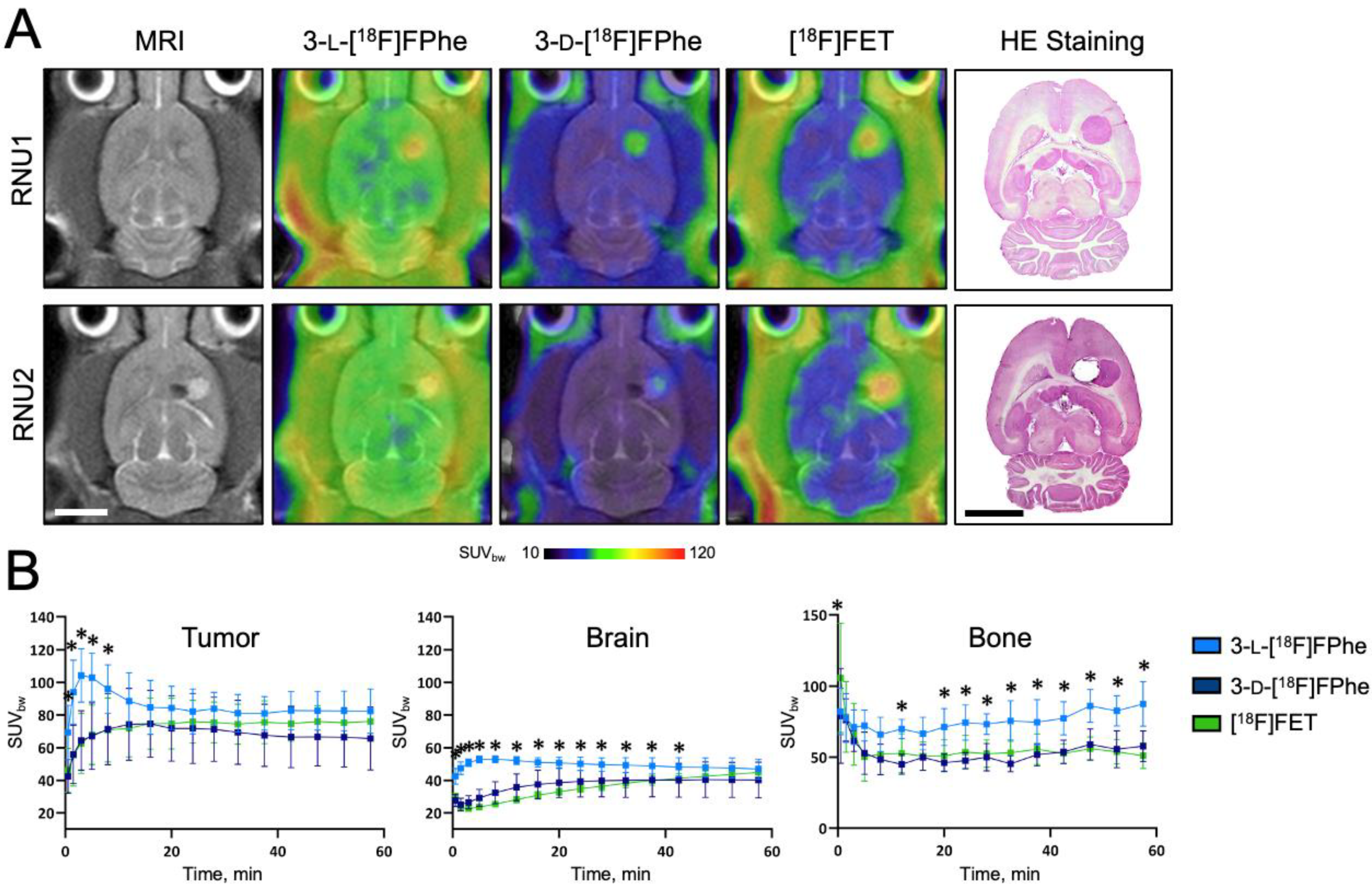 Cancers 13 06030 g009