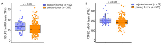 Cancers 13 06036 g0a4 550