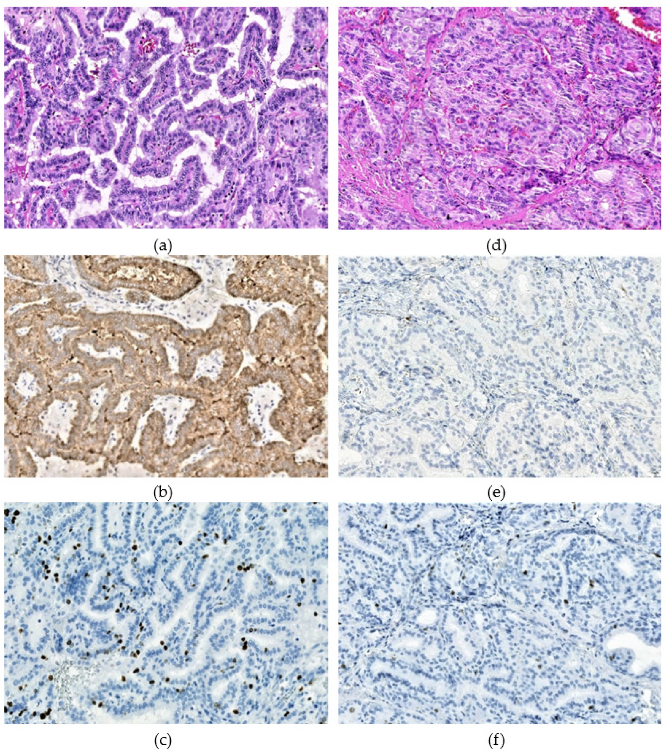 Cancers 13 06038 g001