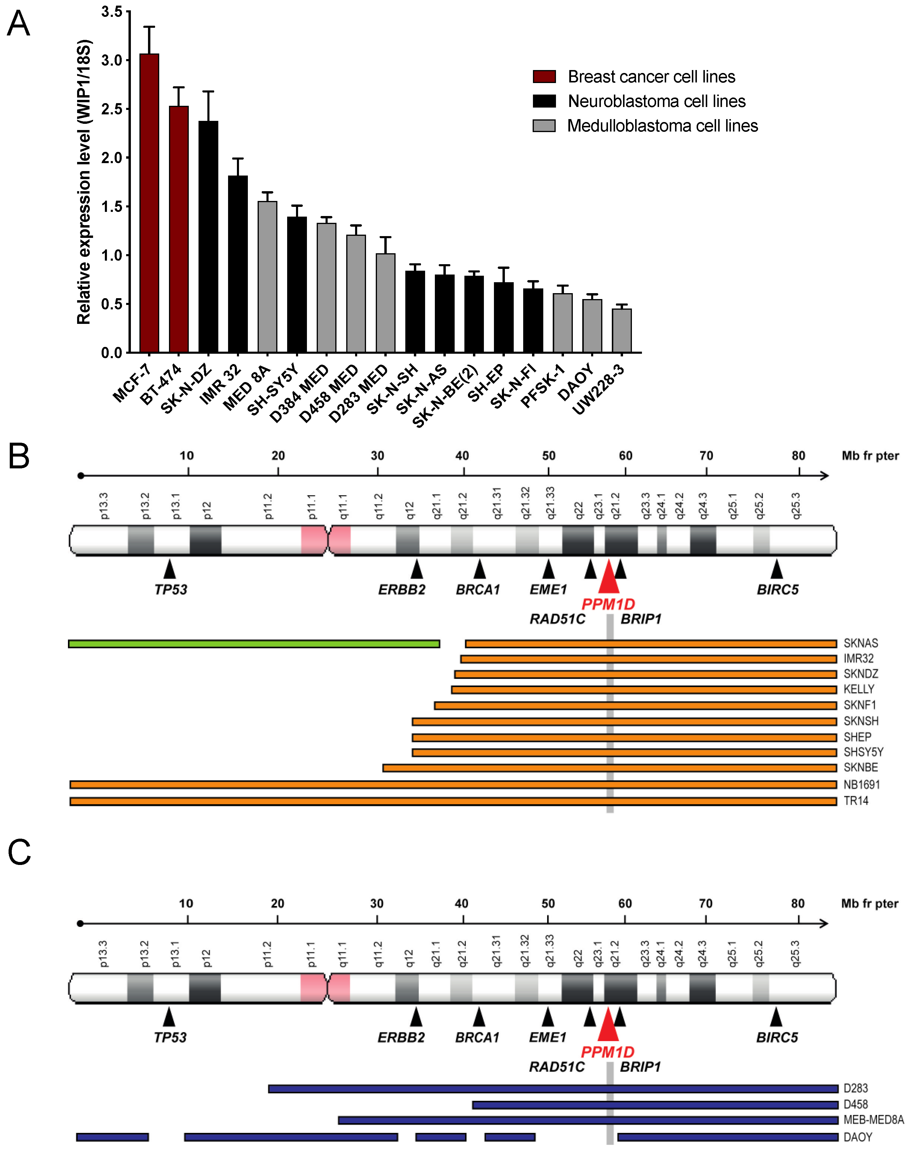 Cancers 13 06042 g001 Cancers 13 06042 g001
