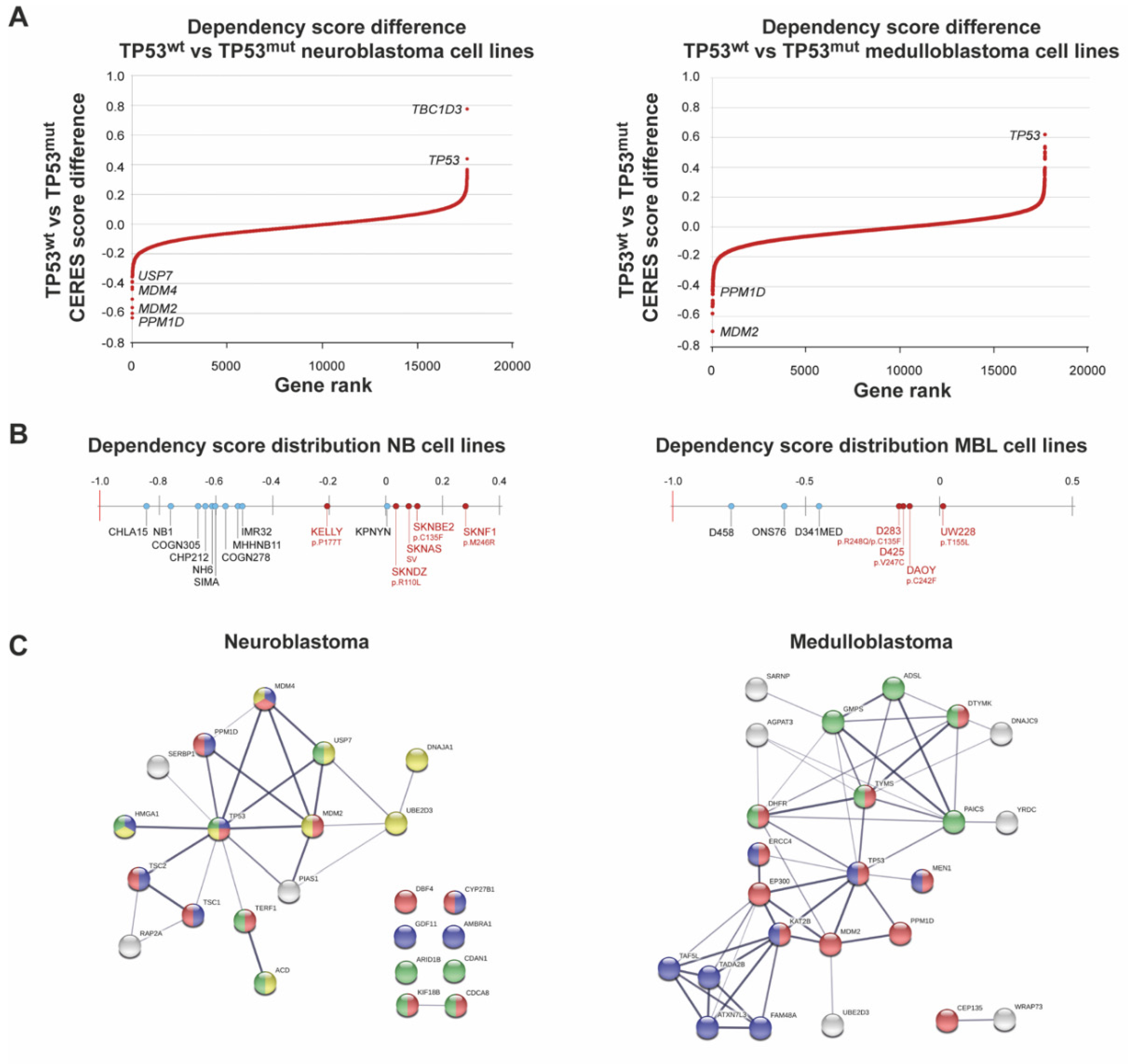 Cancers 13 06042 g002a Cancers 13 06042 g002a