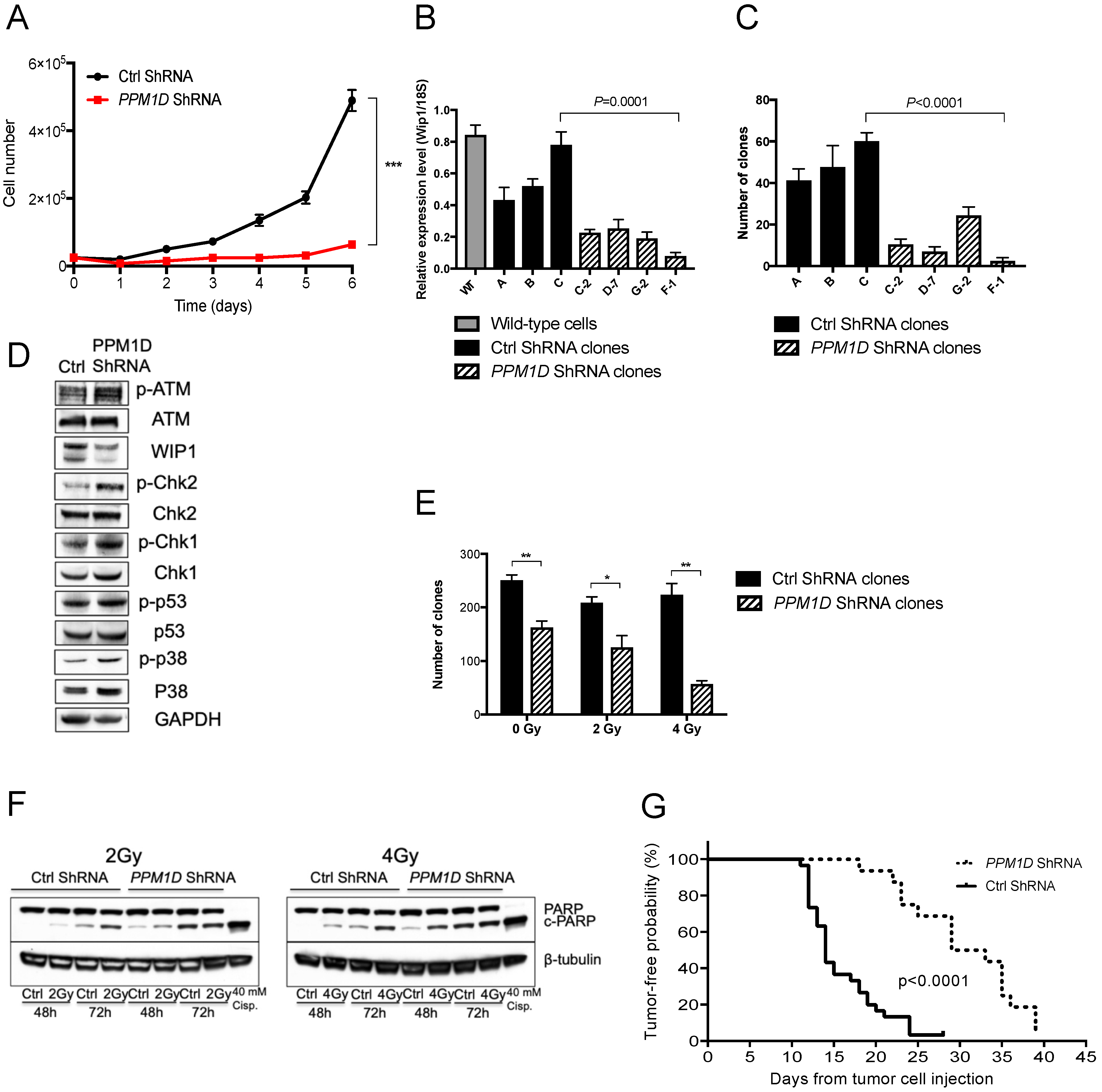 Cancers 13 06042 g003 Cancers 13 06042 g003