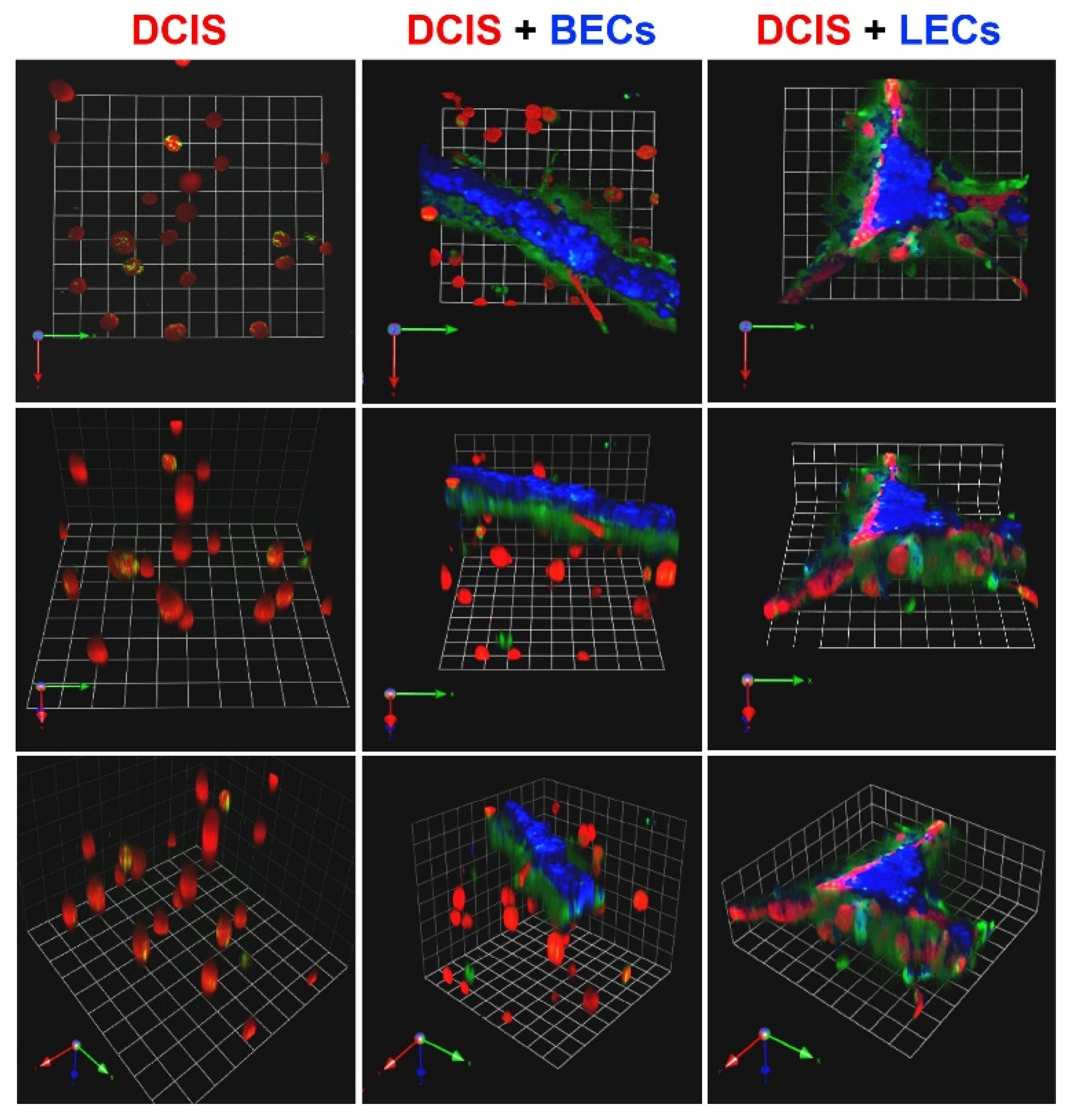 Cancers 13 06044 g001