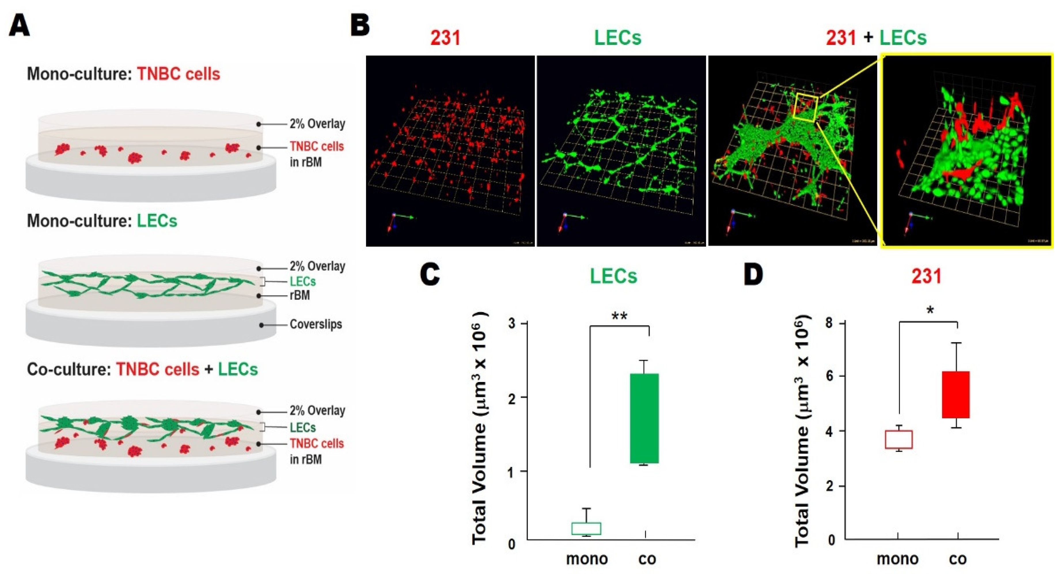 Cancers 13 06044 g002