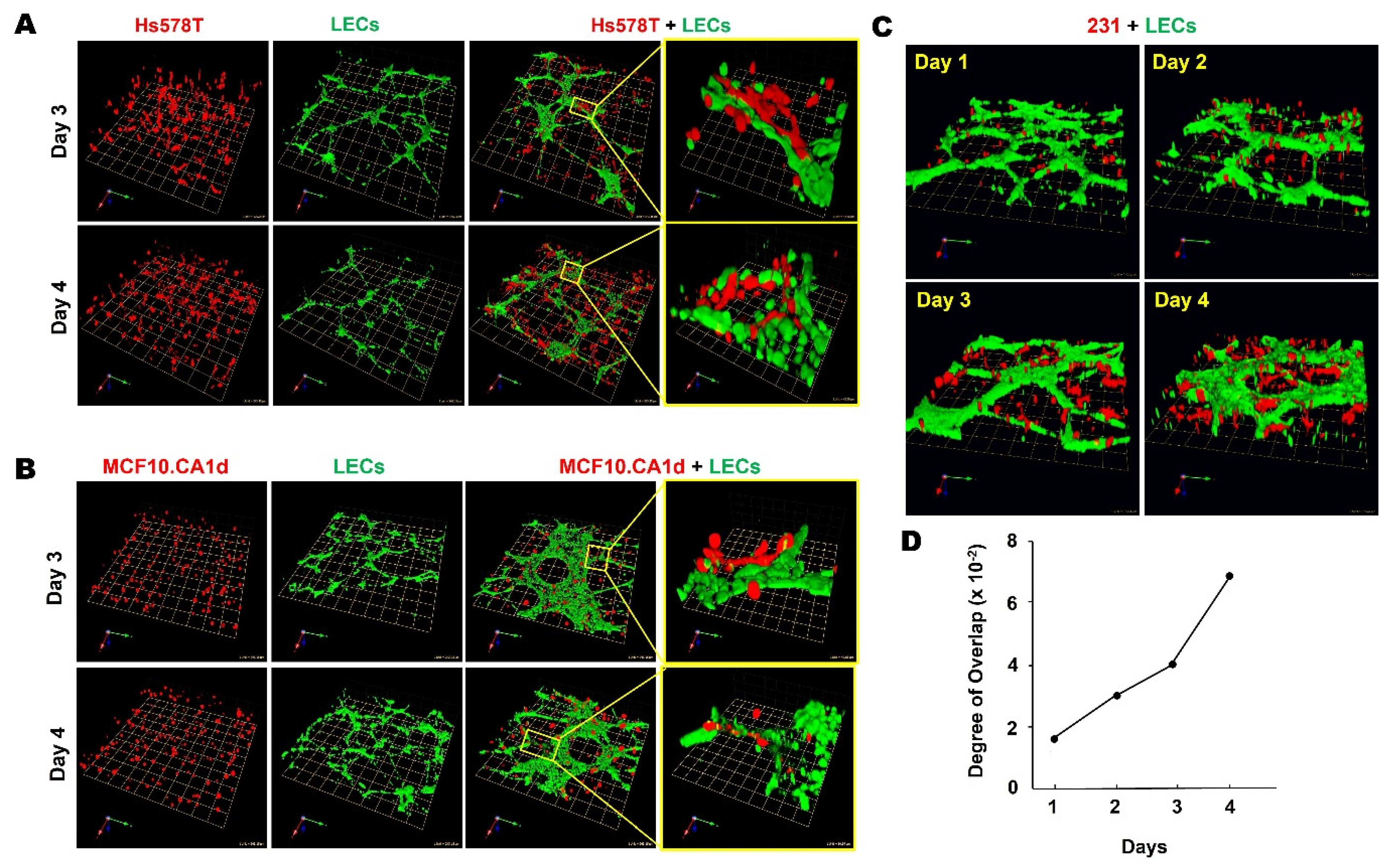 Cancers 13 06044 g003