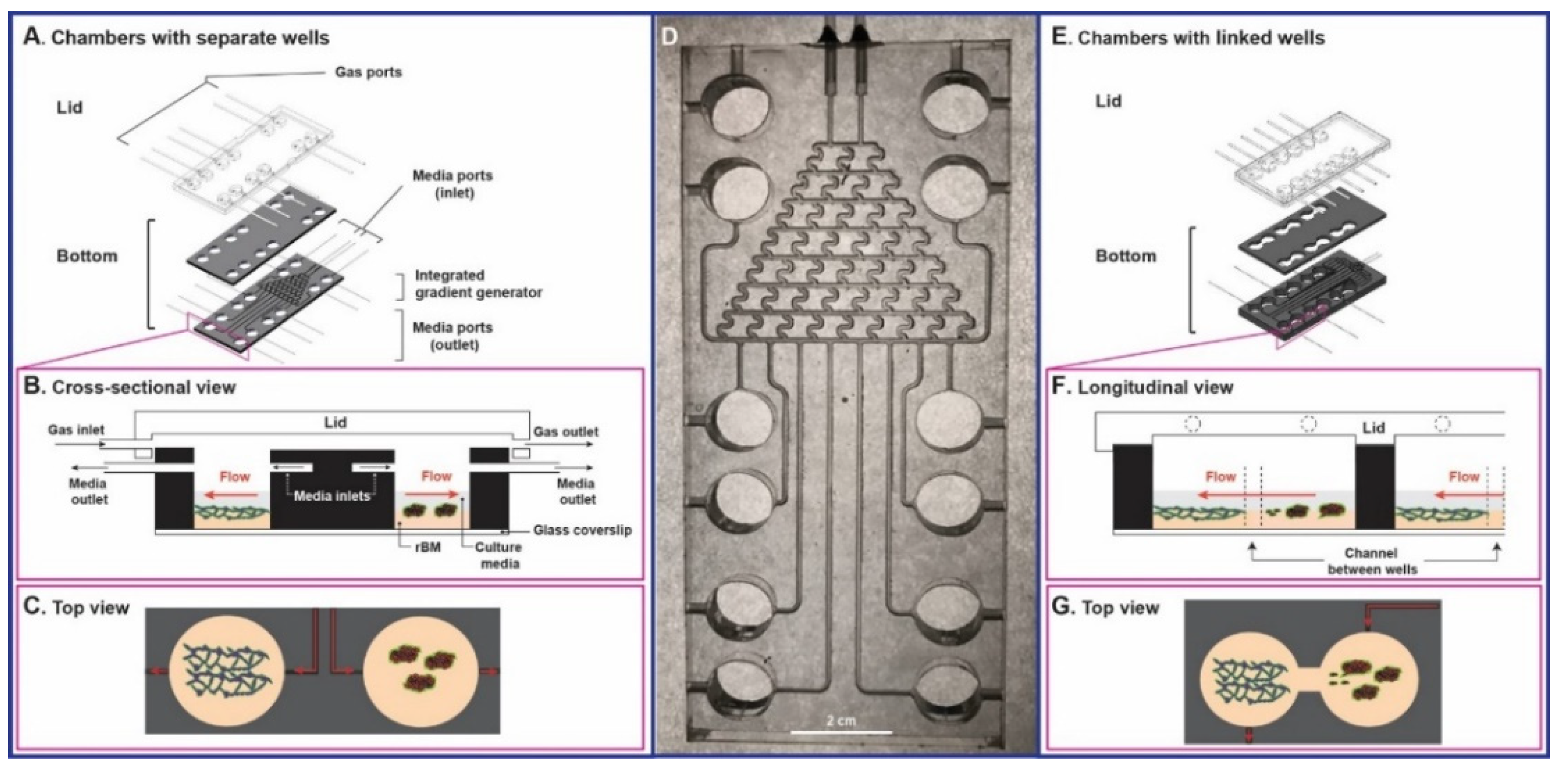 Cancers 13 06044 g005