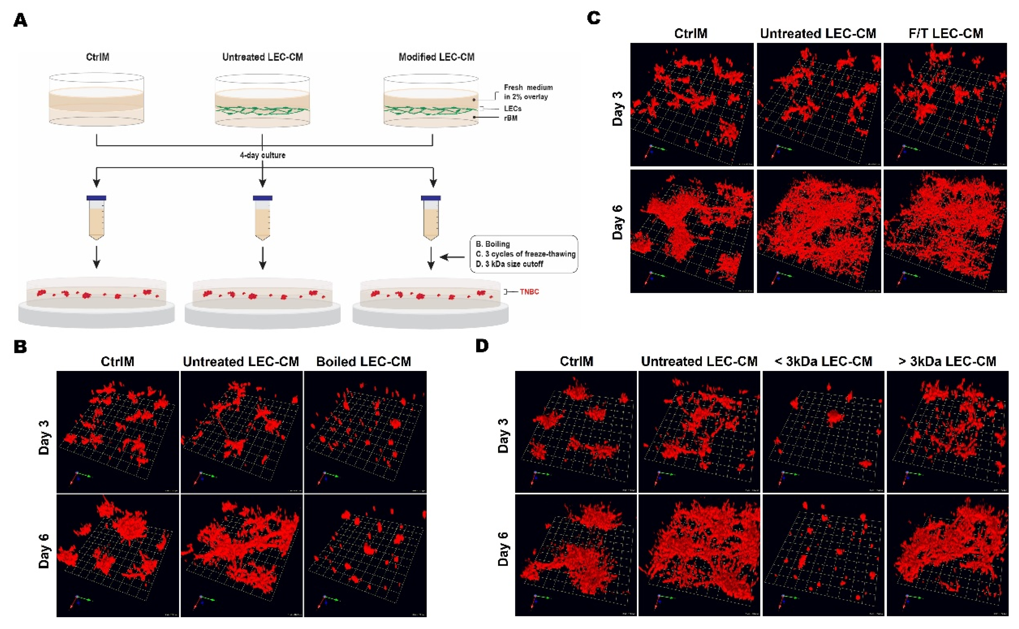 Cancers 13 06044 g007