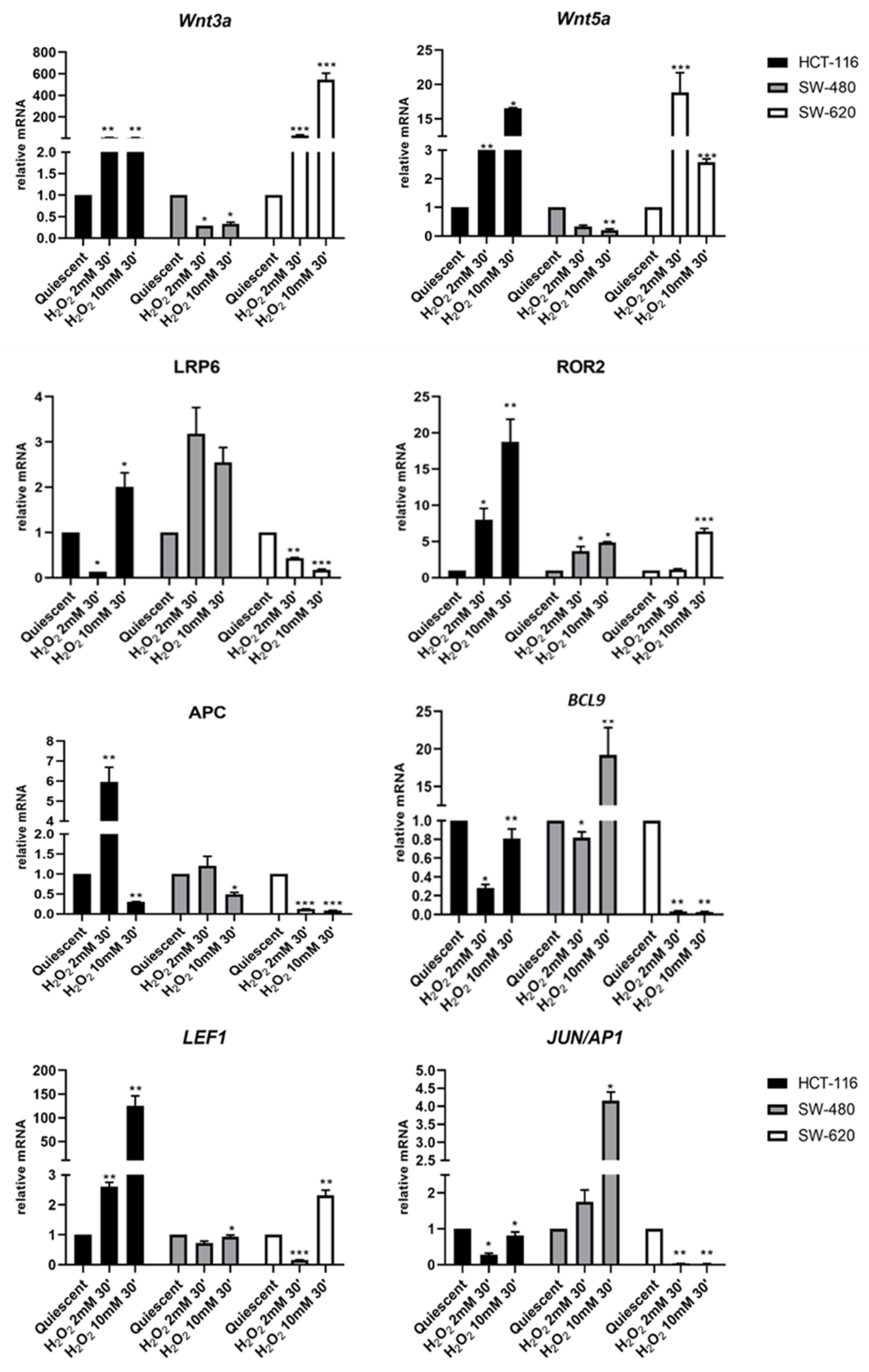 Cancers 13 06045 g002