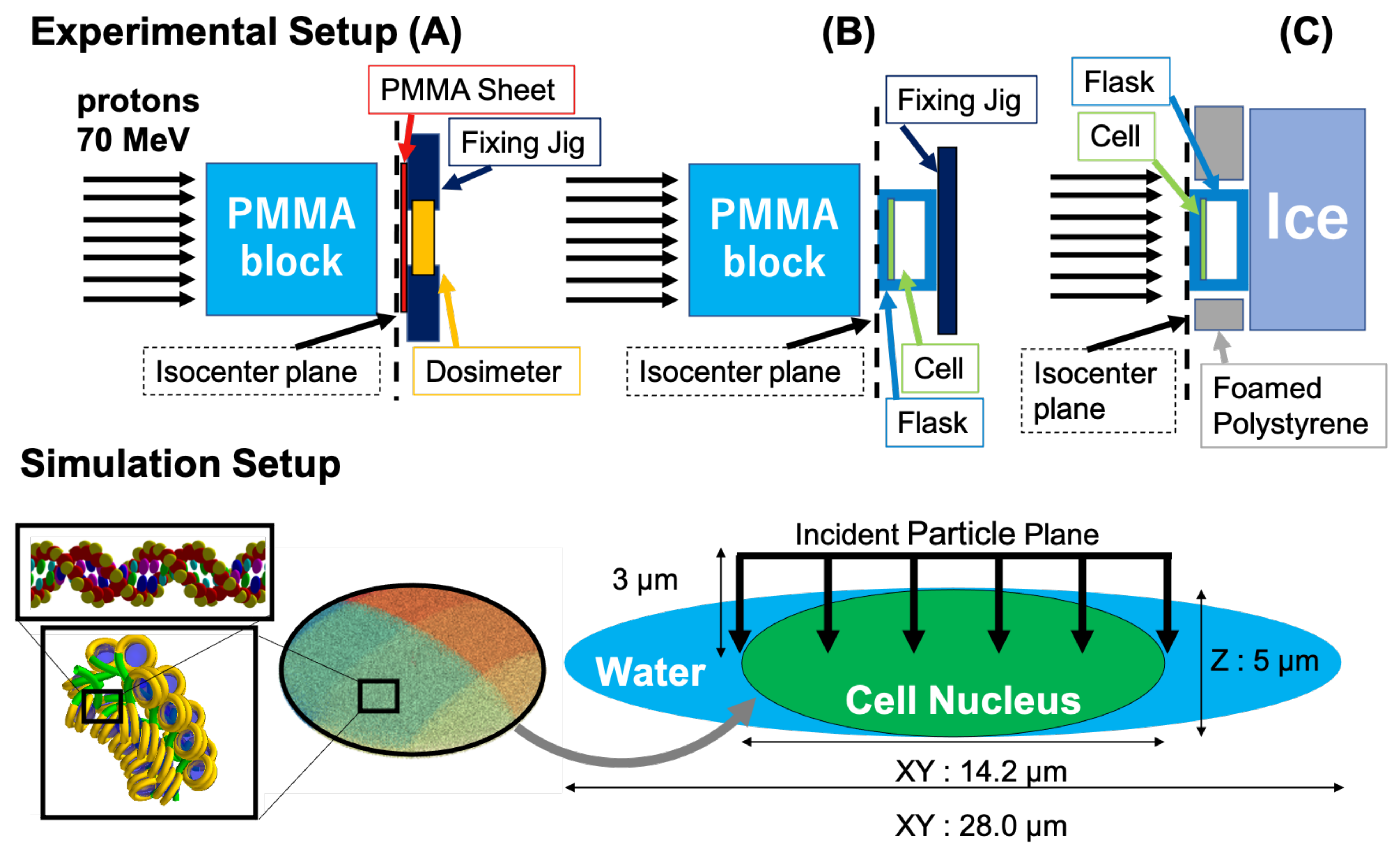 Cancers 13 06046 g001