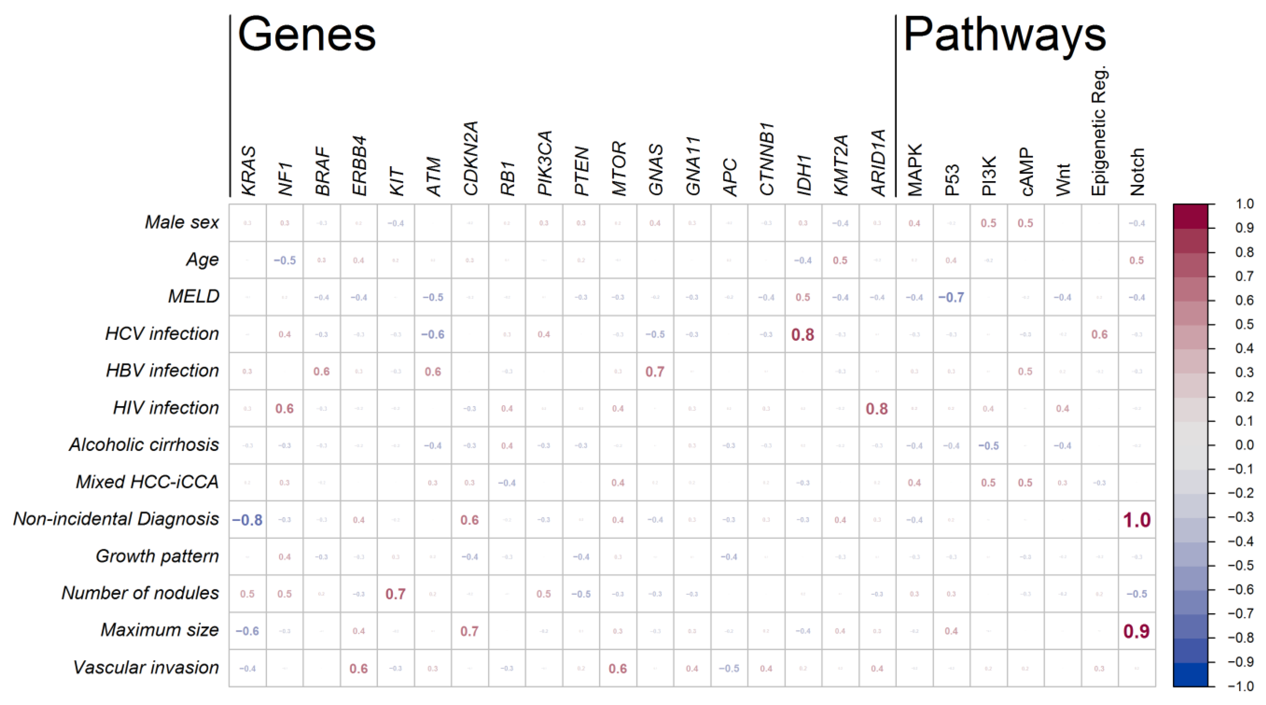 Cancers 13 06049 g002