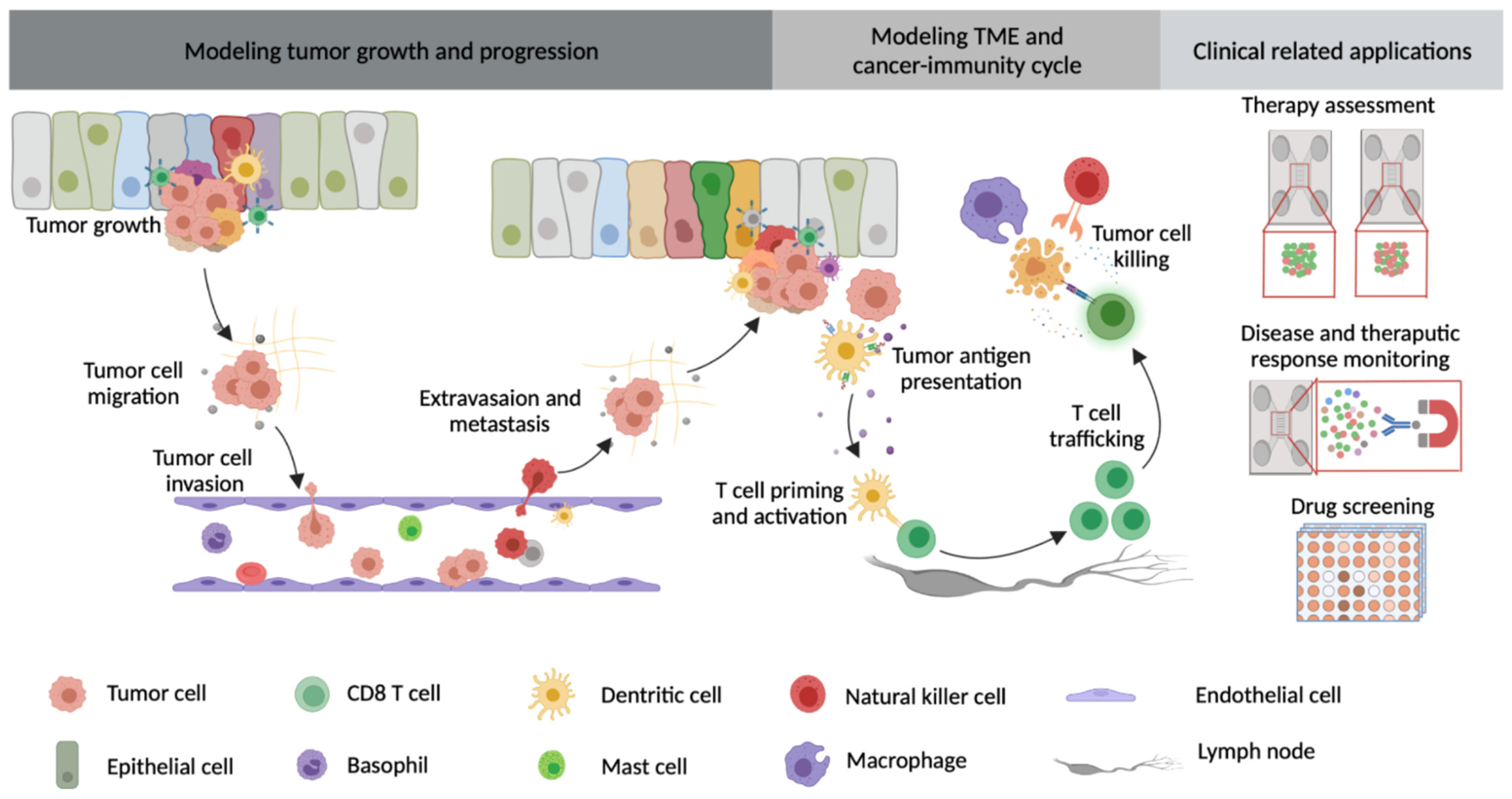 Cancers 13 06052 g001