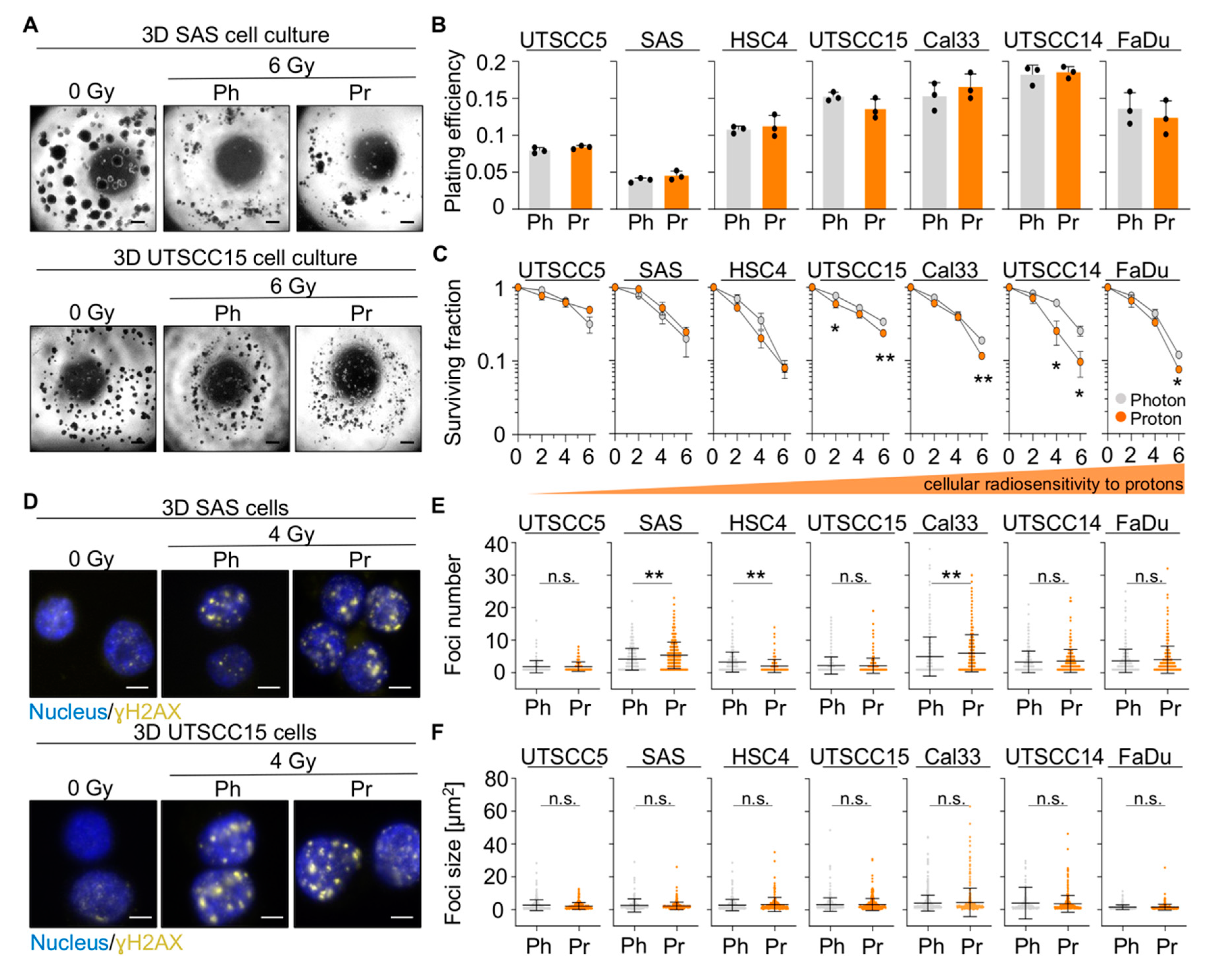 Cancers 13 06055 g001