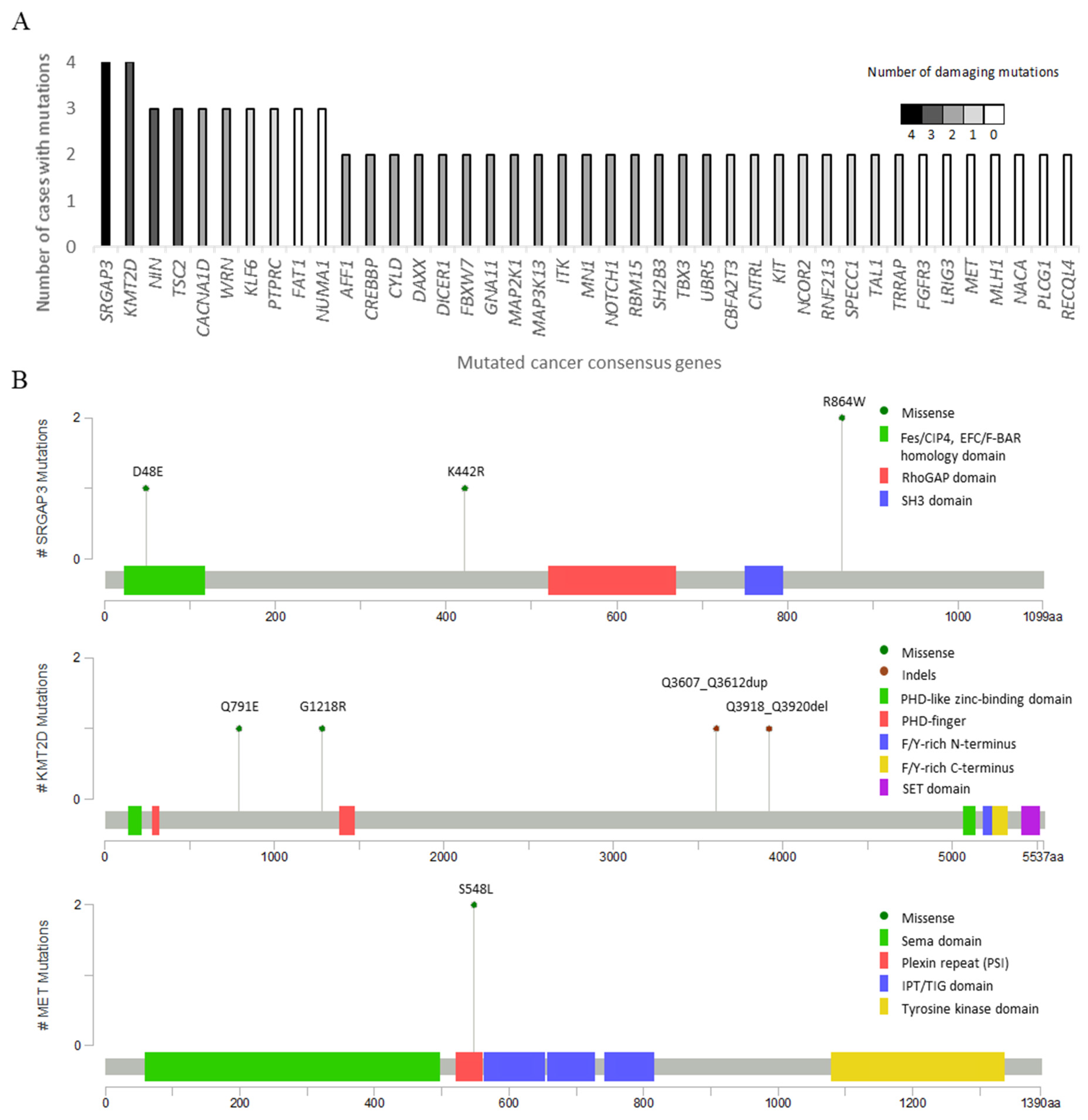 Cancers 13 06057 g003