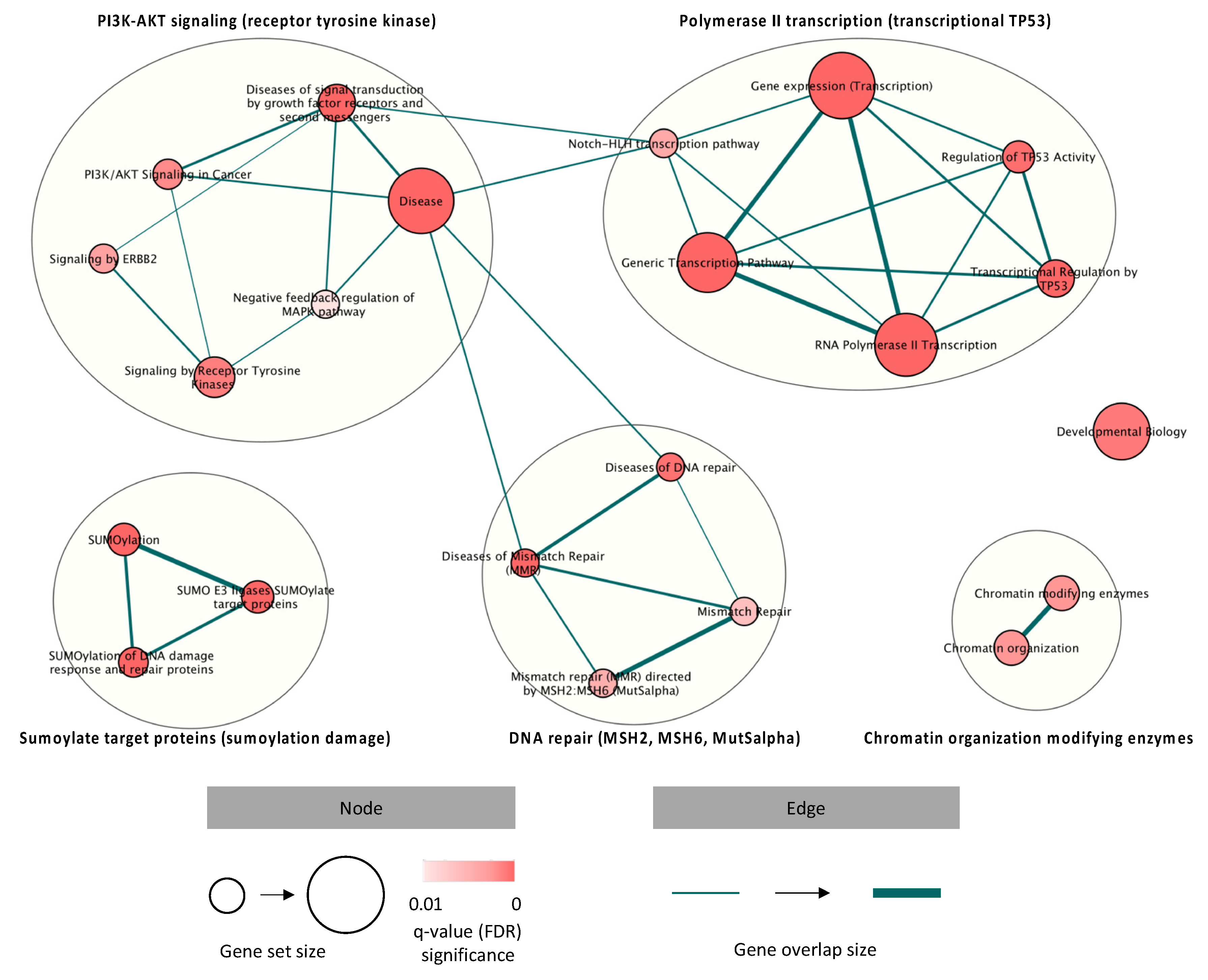 Cancers 13 06057 g005