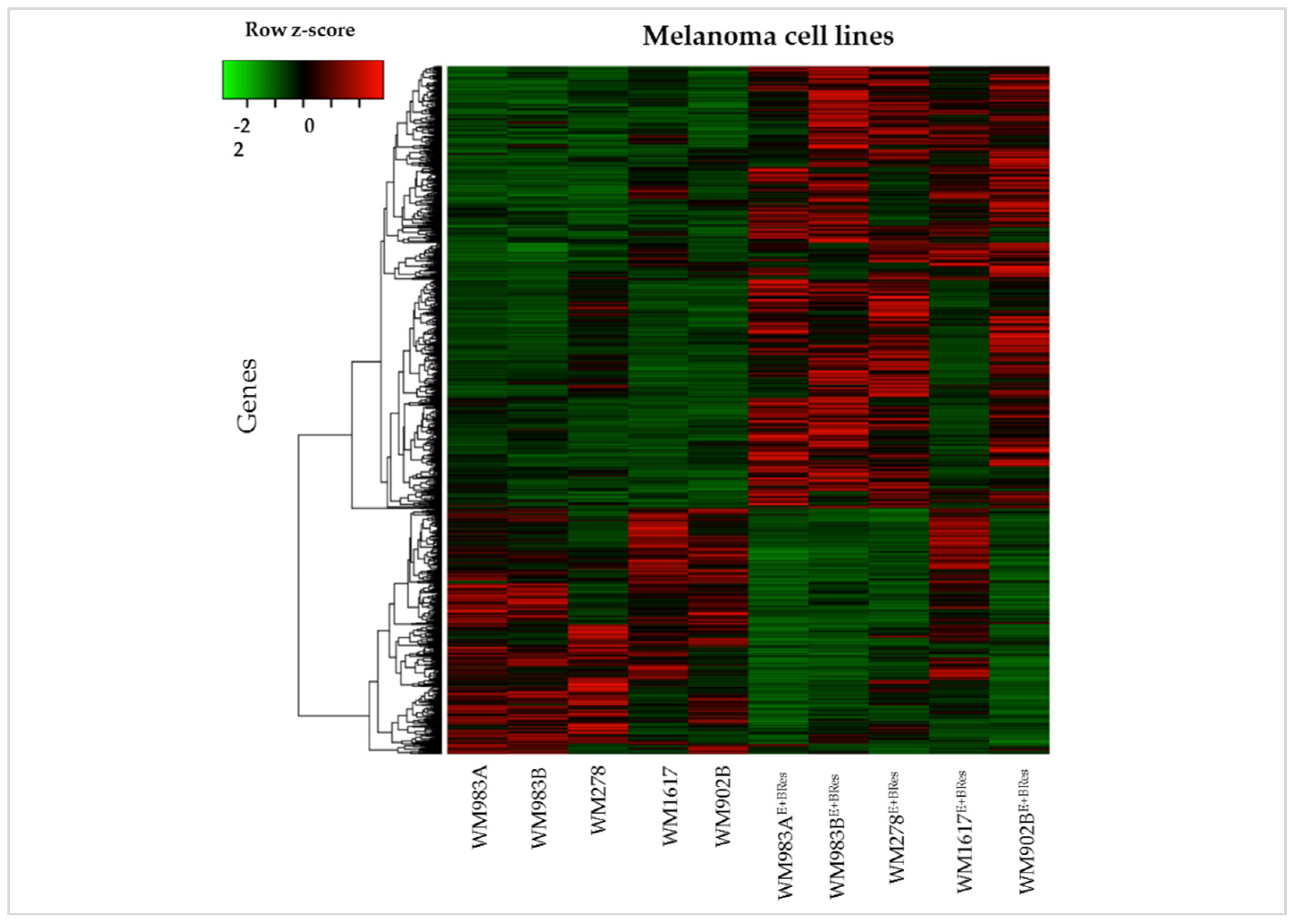 Cancers 13 06058 g008
