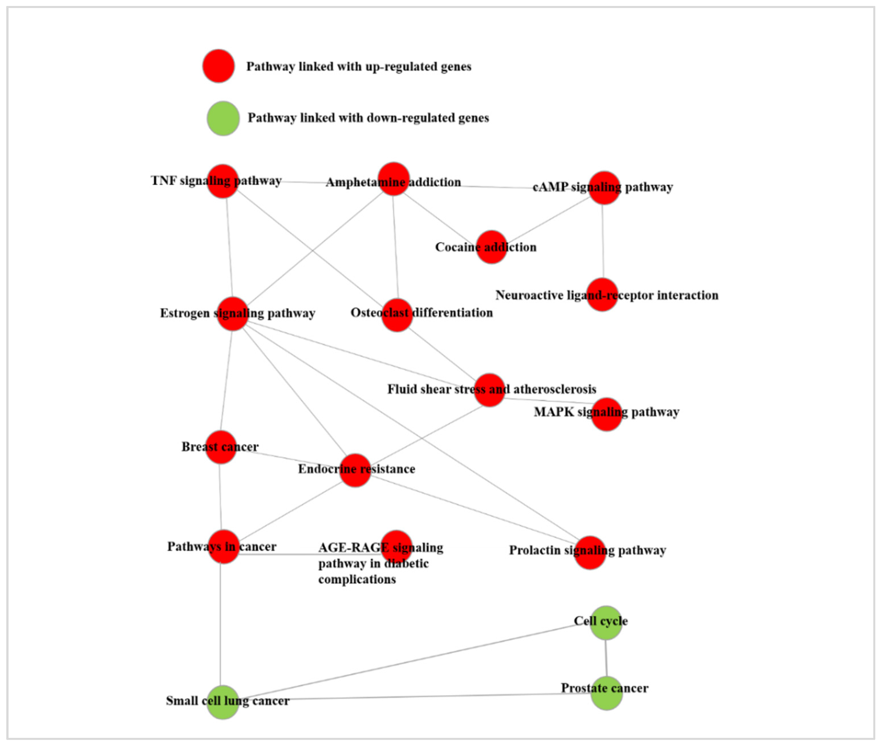 Cancers 13 06058 g010