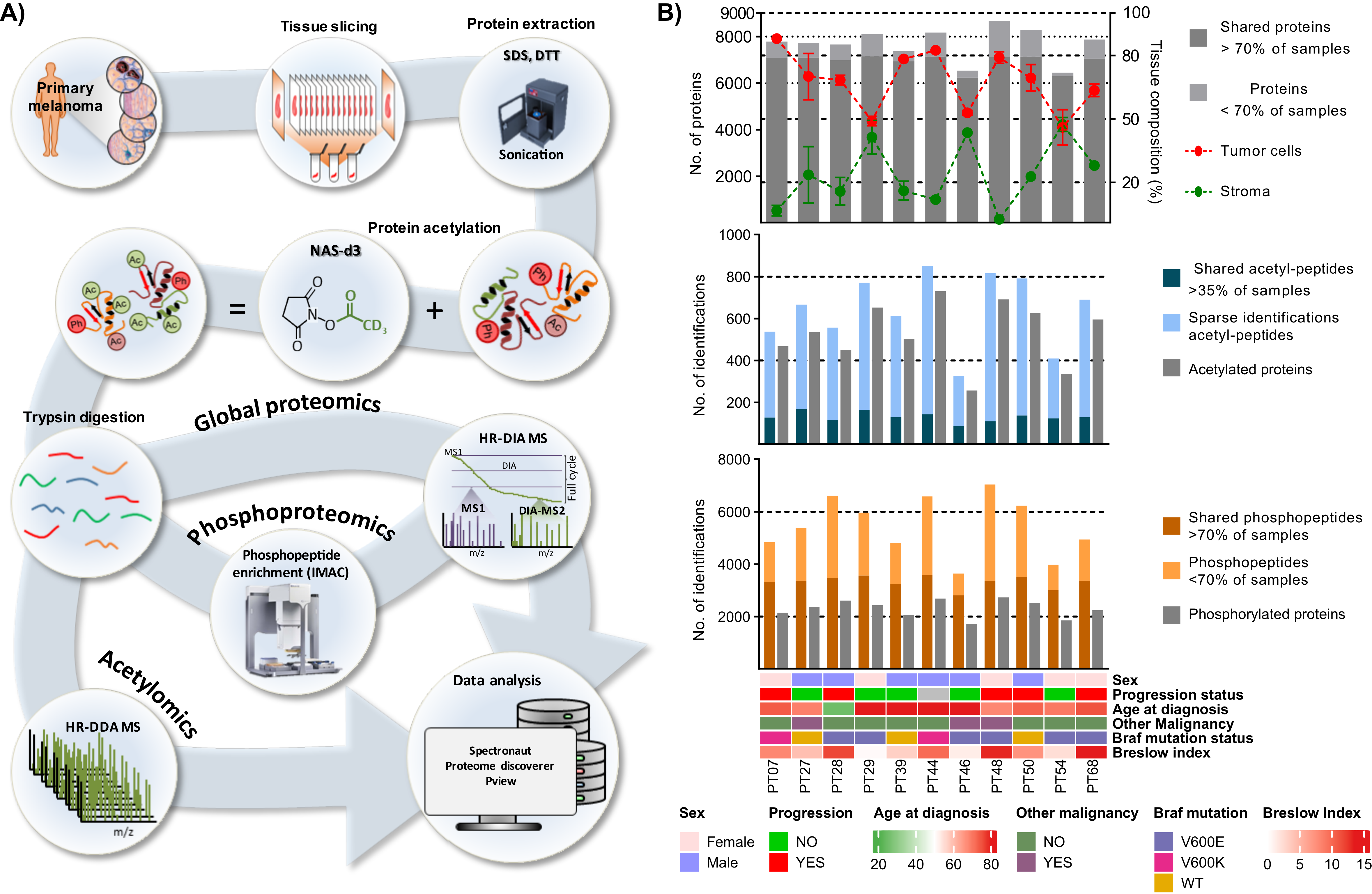 Cancers 13 06066 g001