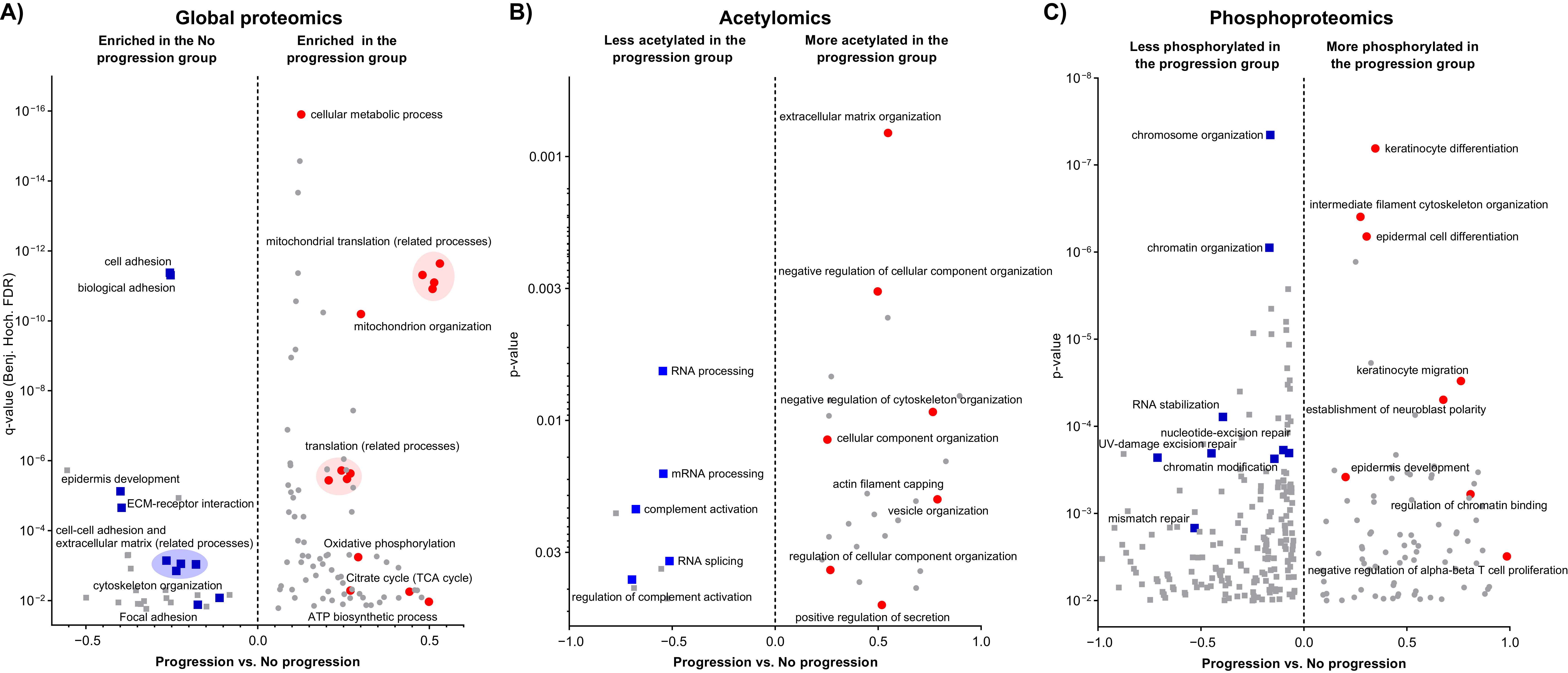 Cancers 13 06066 g003