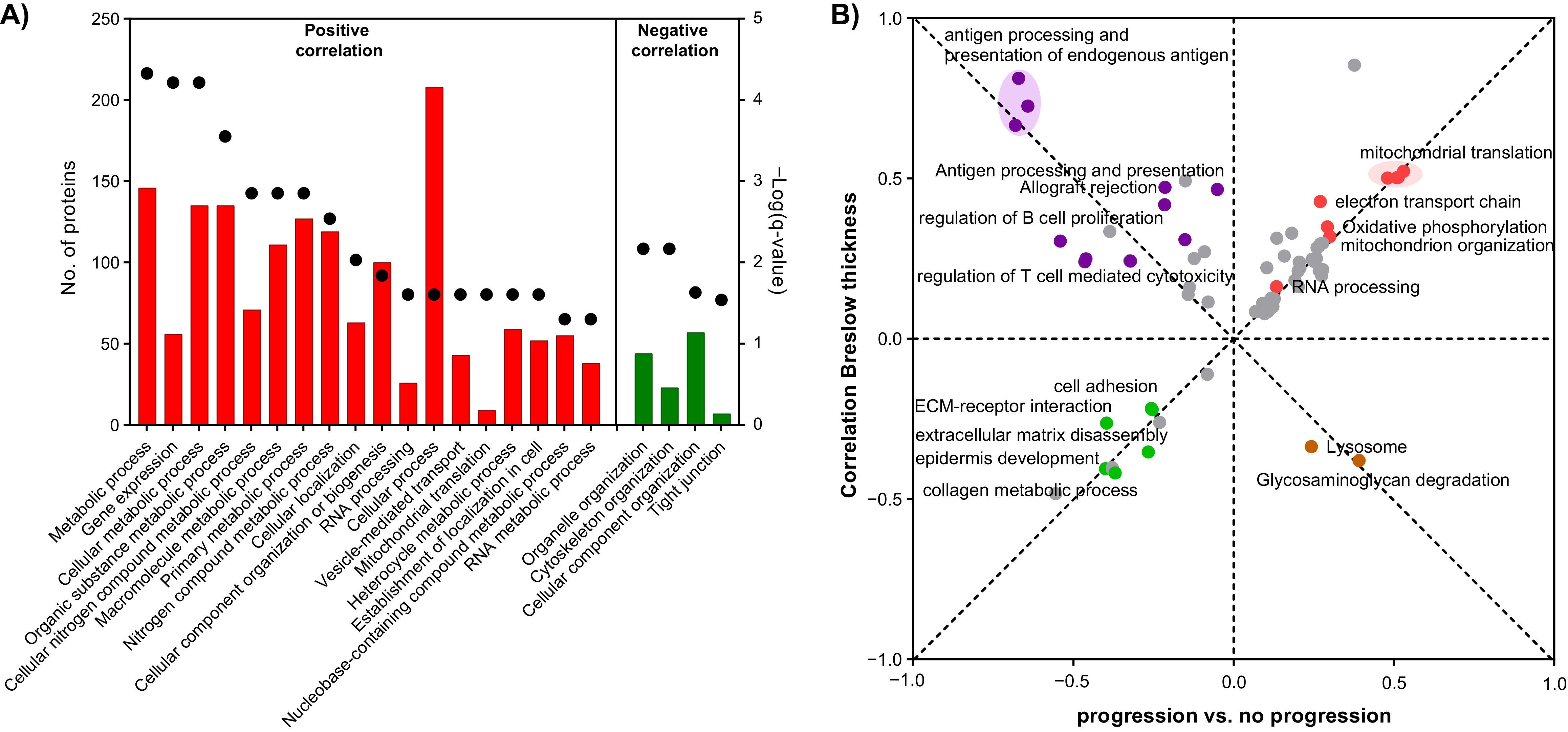 Cancers 13 06066 g005