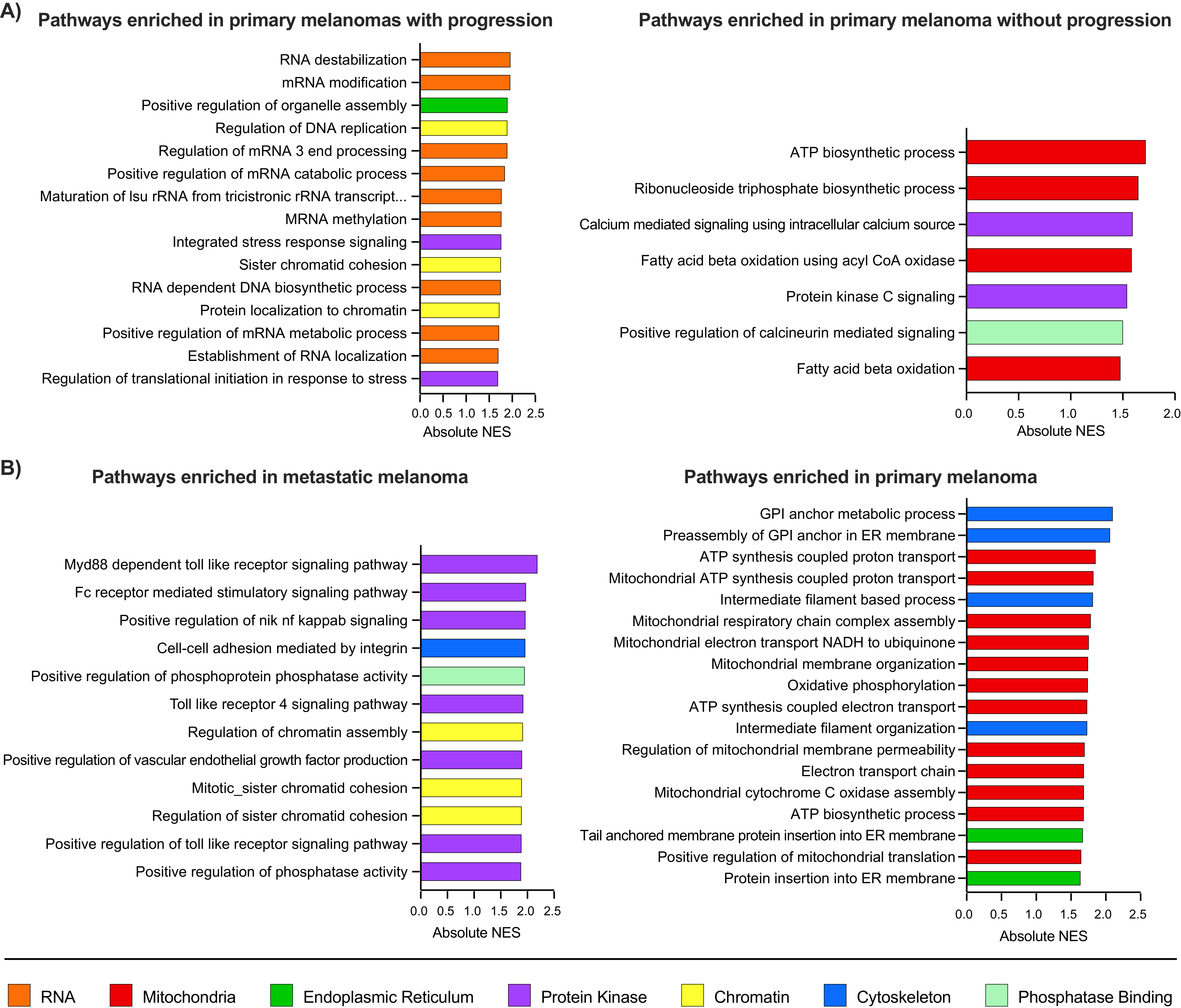 Cancers 13 06066 g007