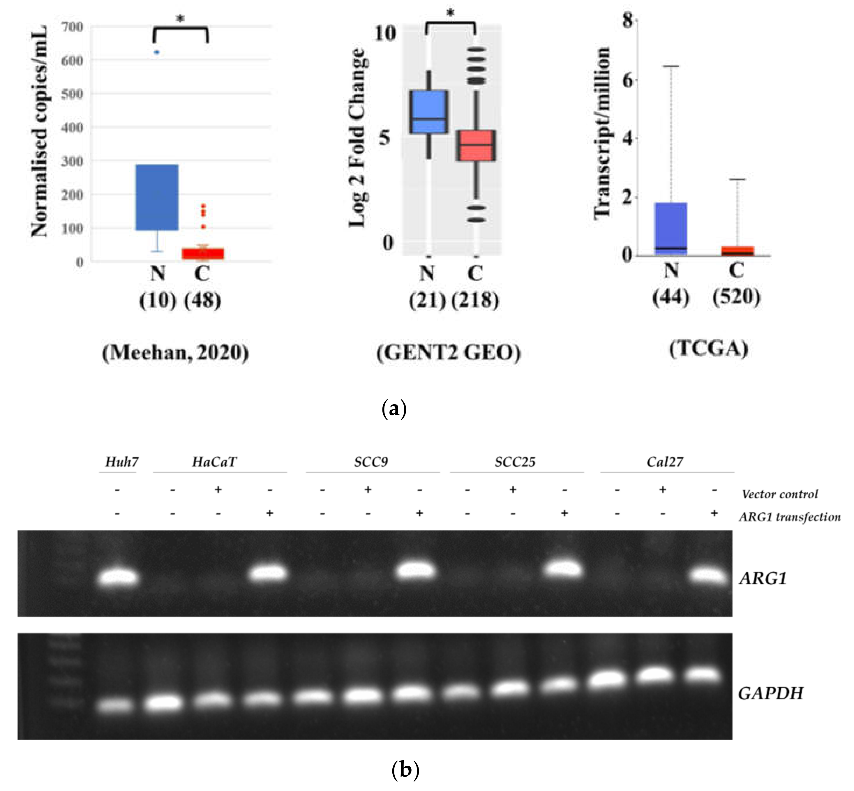 Cancers 13 06068 g001