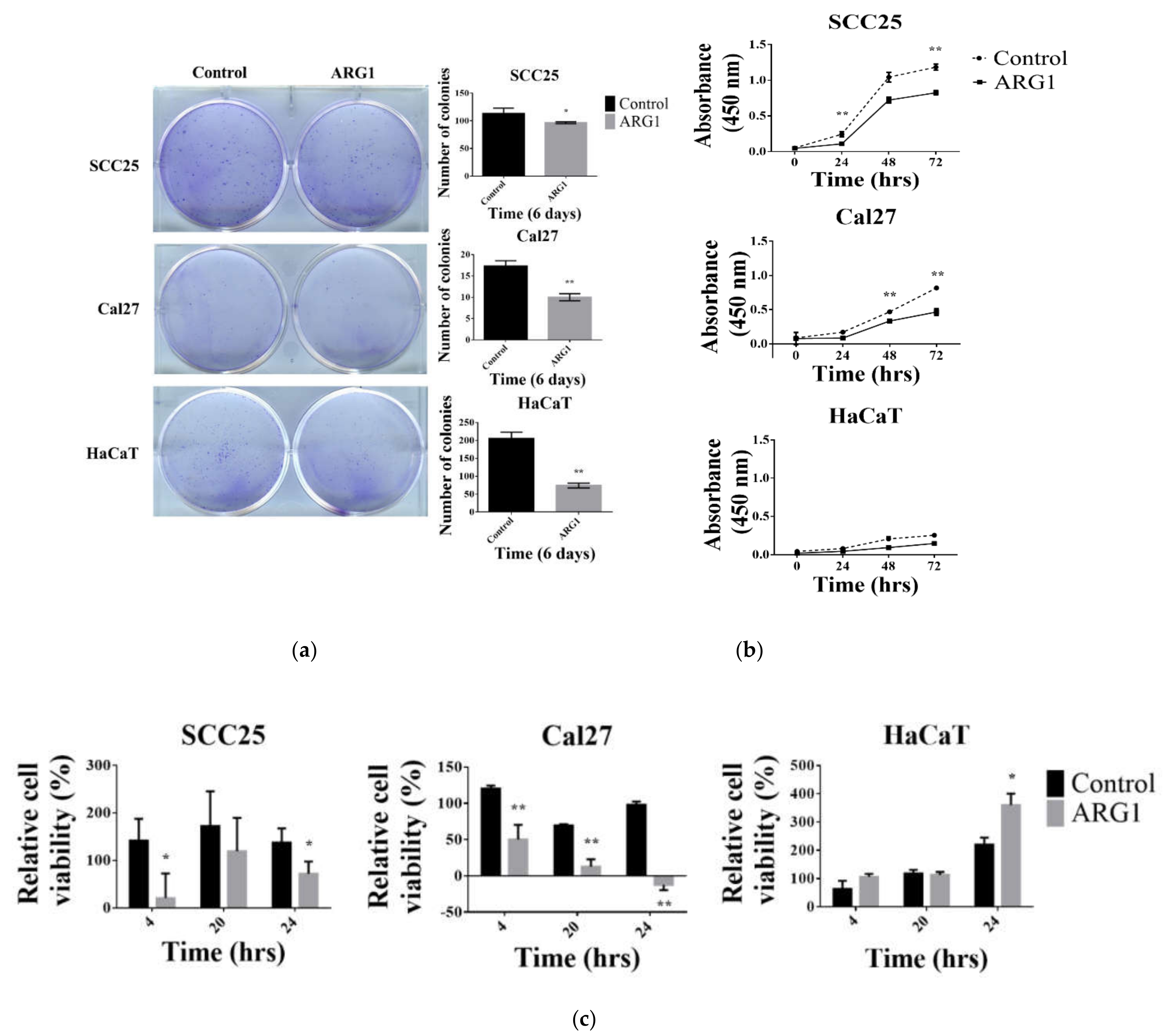 Cancers 13 06068 g002