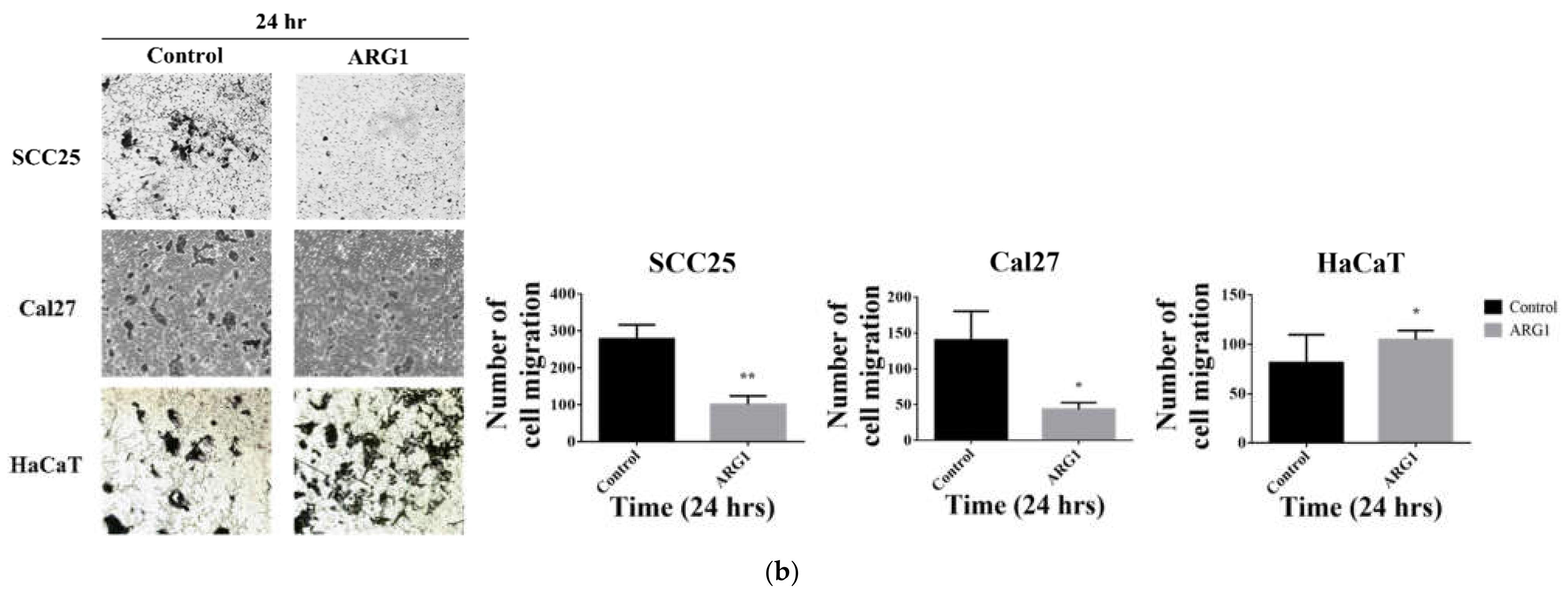 Cancers 13 06068 g003b