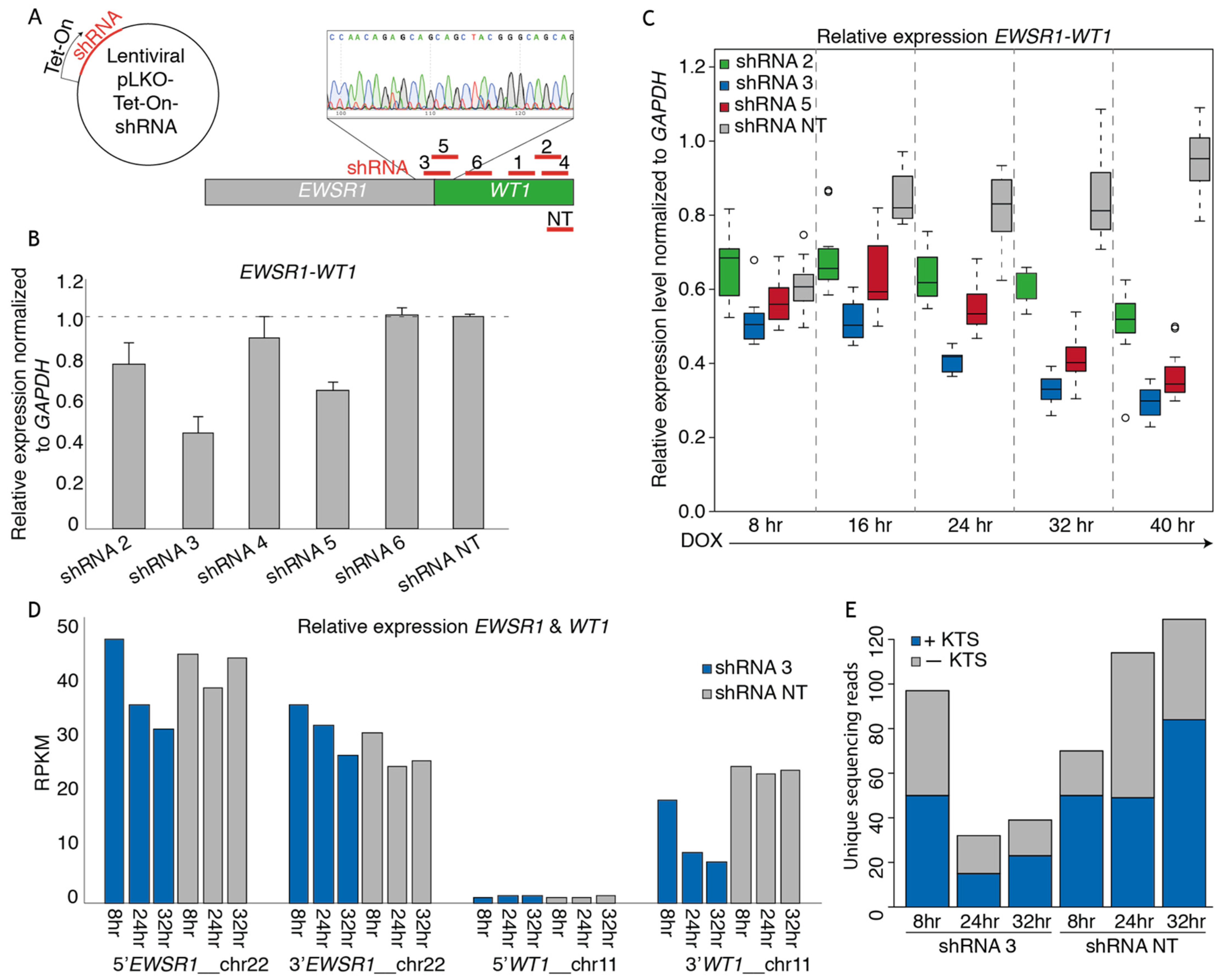 Cancers 13 06072 g002