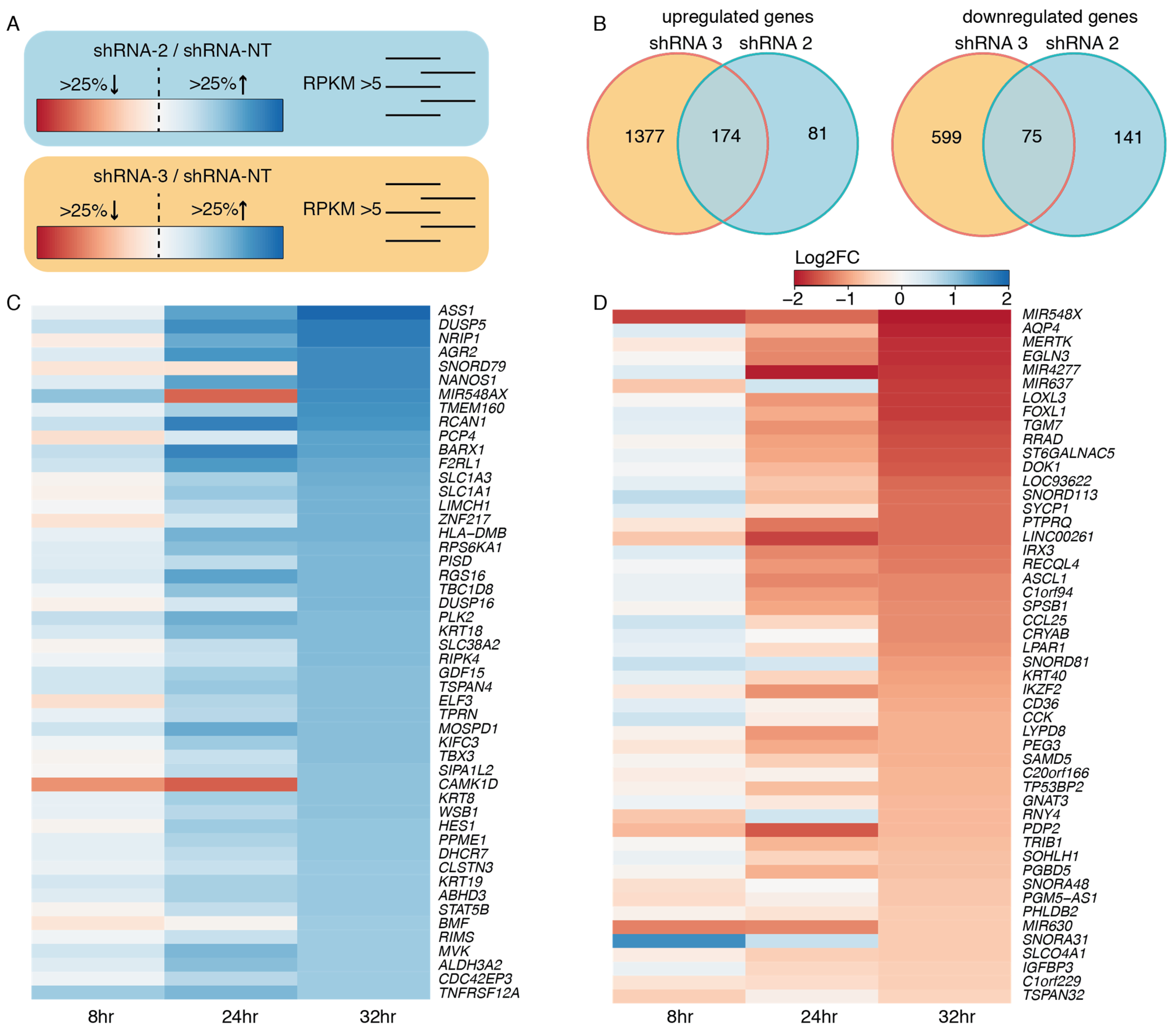 Cancers 13 06072 g004
