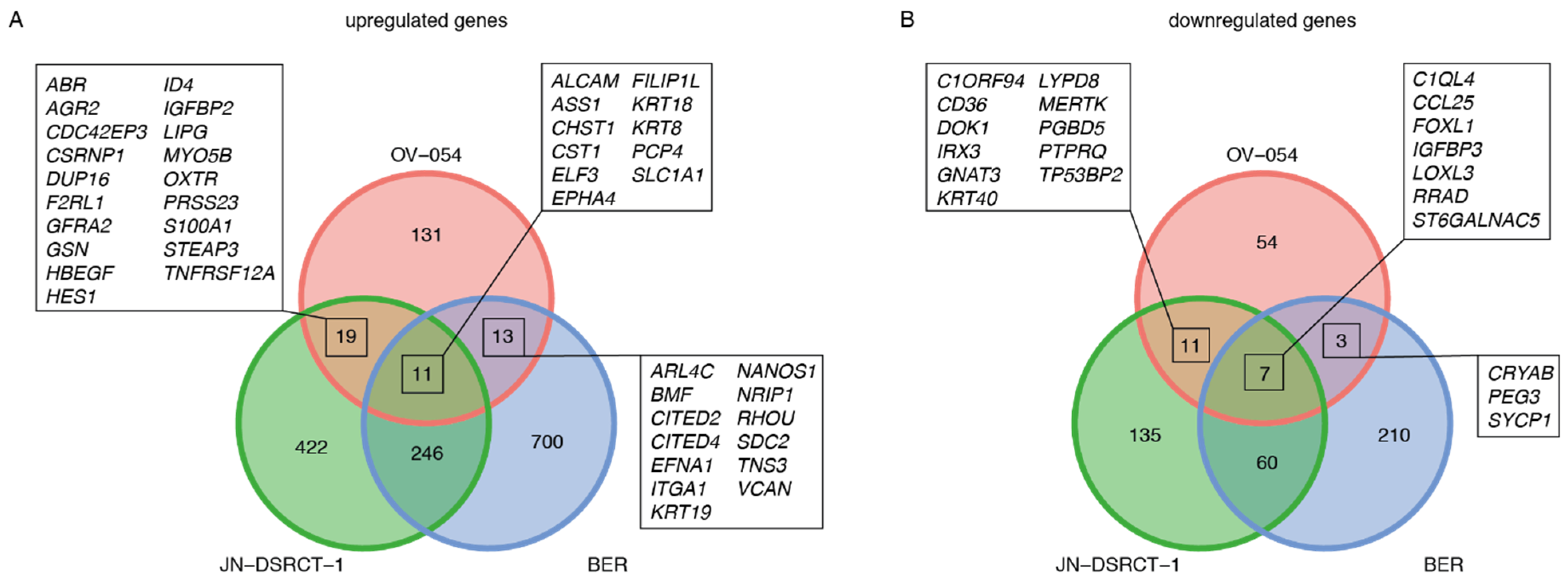 Cancers 13 06072 g005