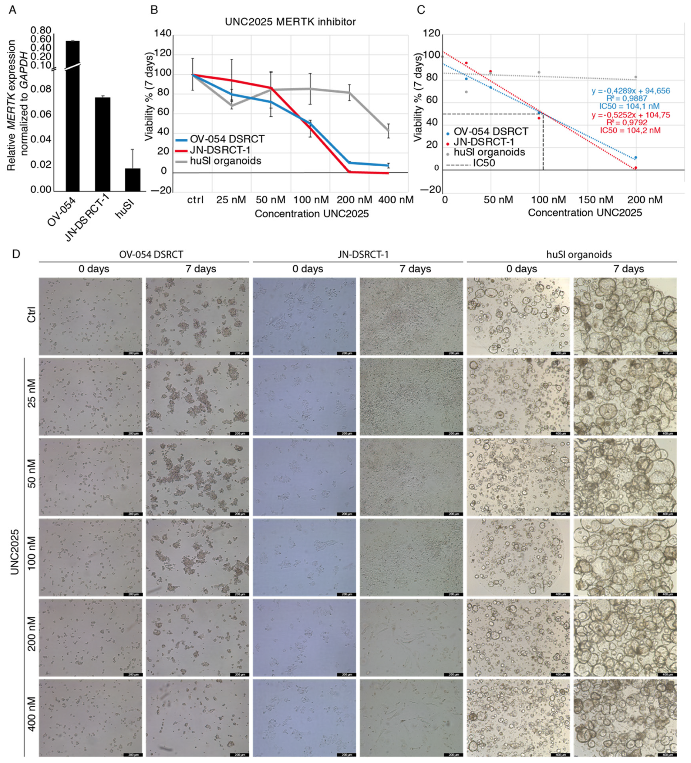 Cancers 13 06072 g007