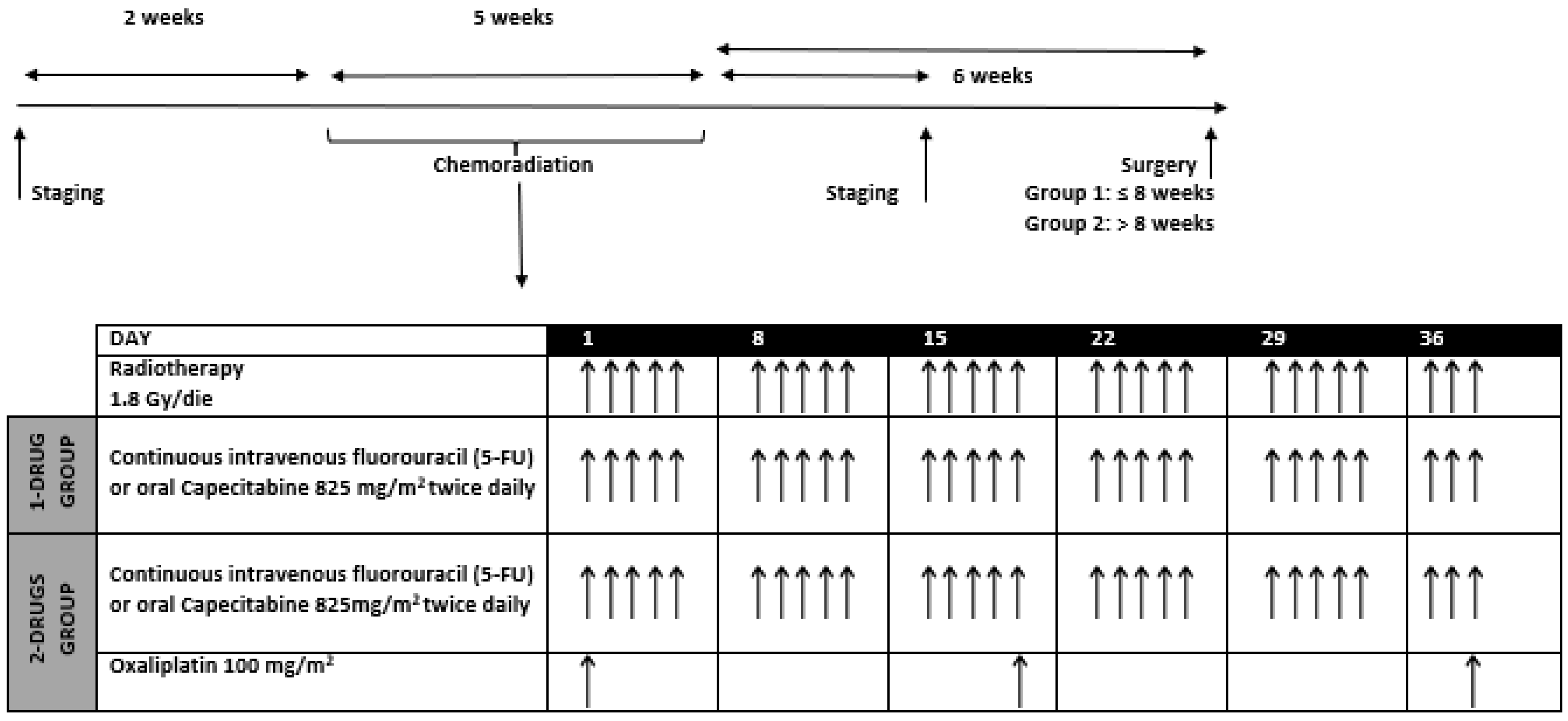 Cancers 13 06074 g001