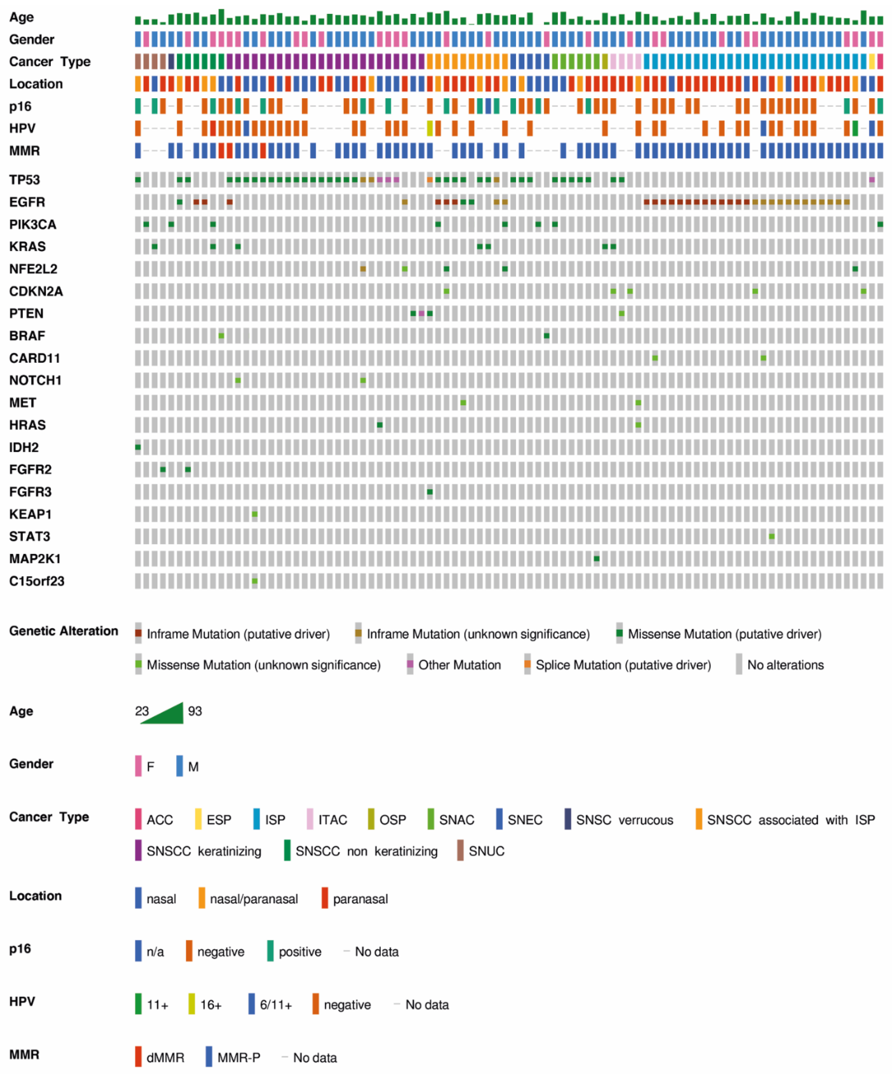 Cancers 13 06081 g004