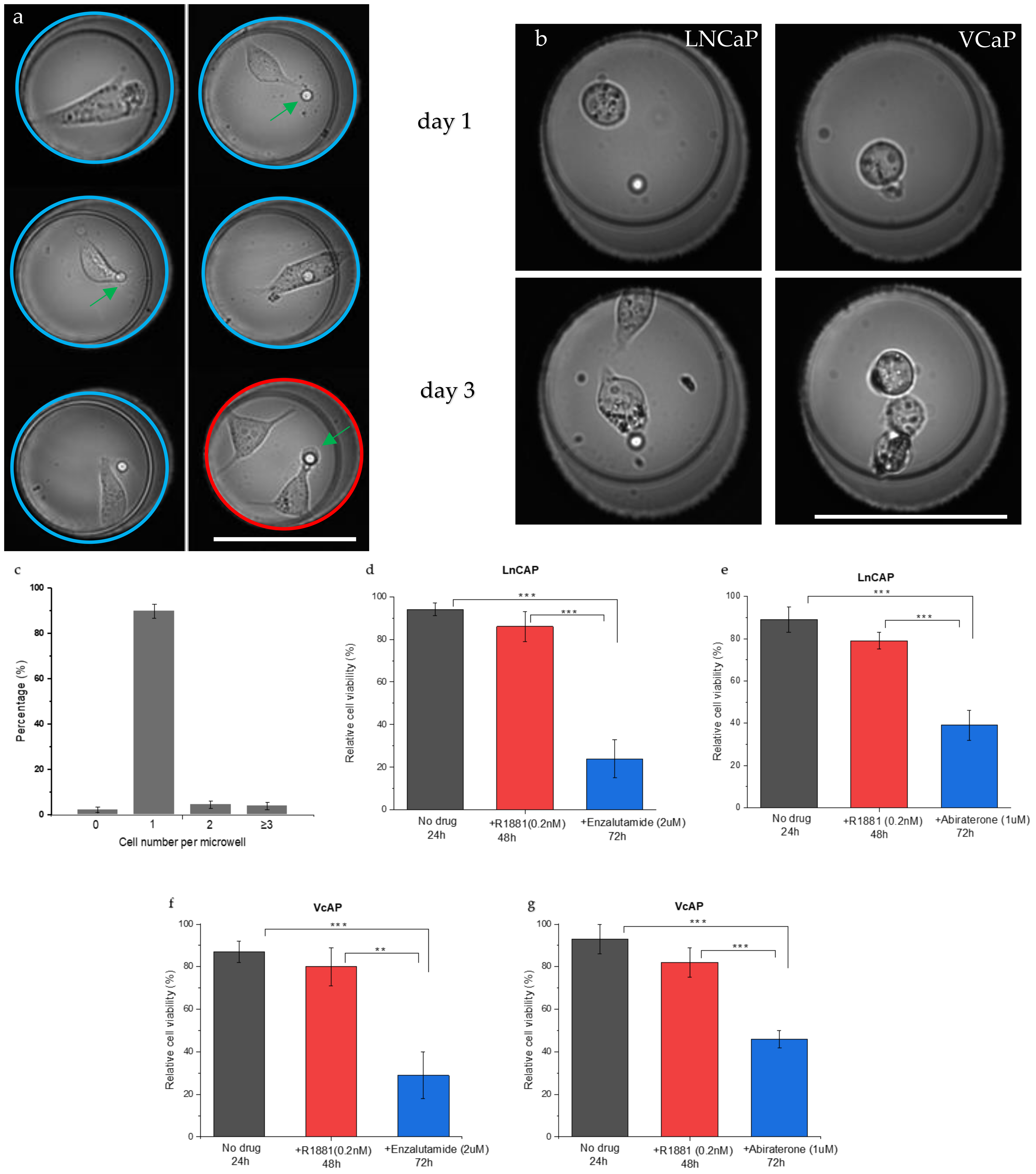 Cancers 13 06083 g002