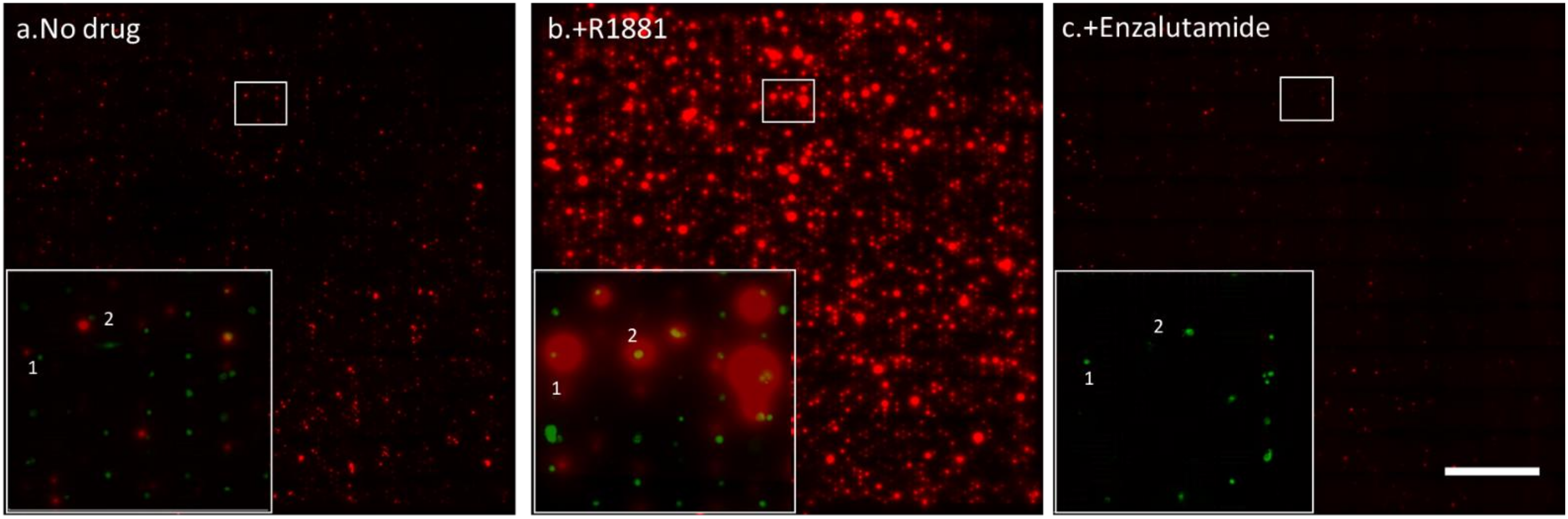 Cancers 13 06083 g004