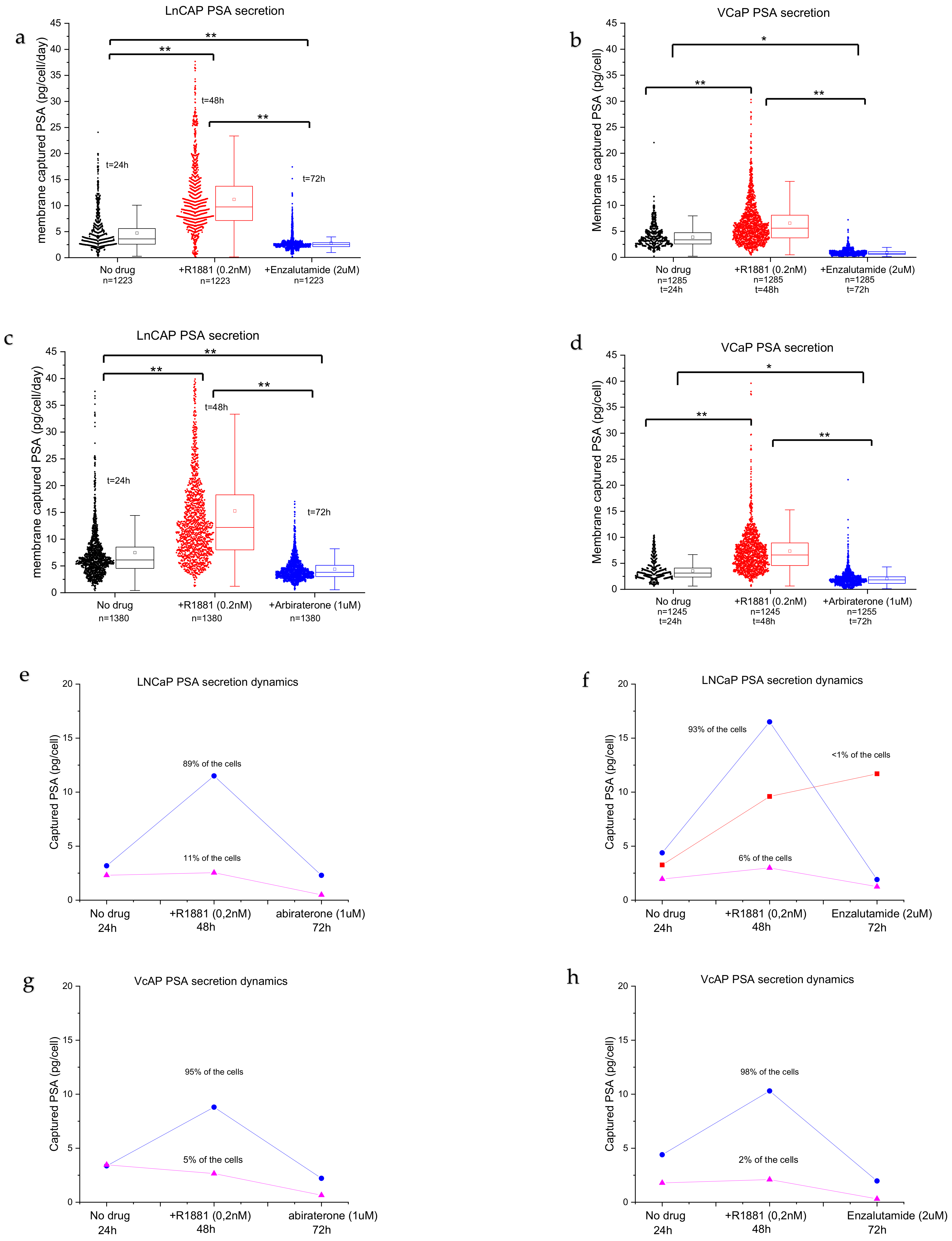 Cancers 13 06083 g005