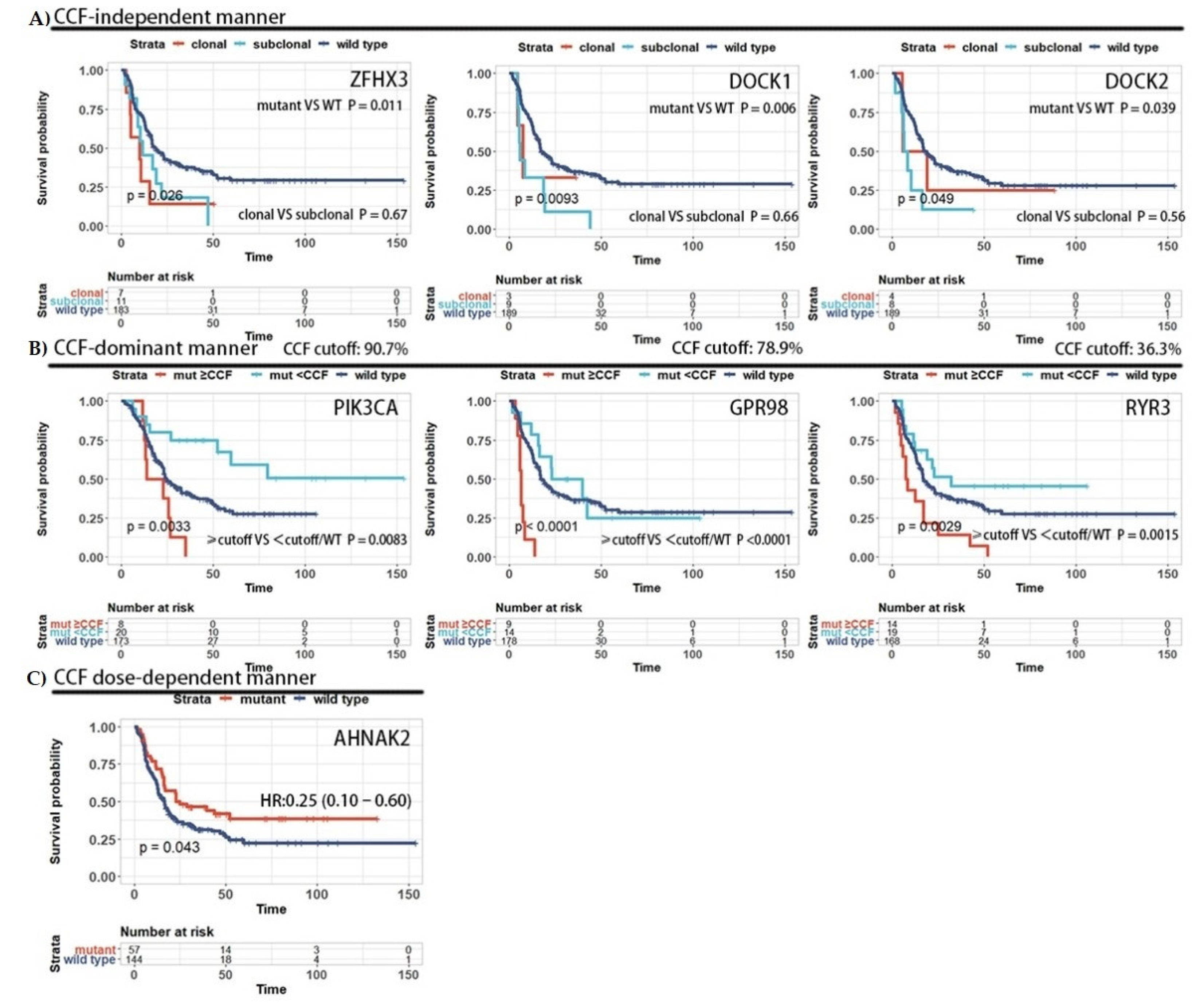 Cancers 13 06084 g002