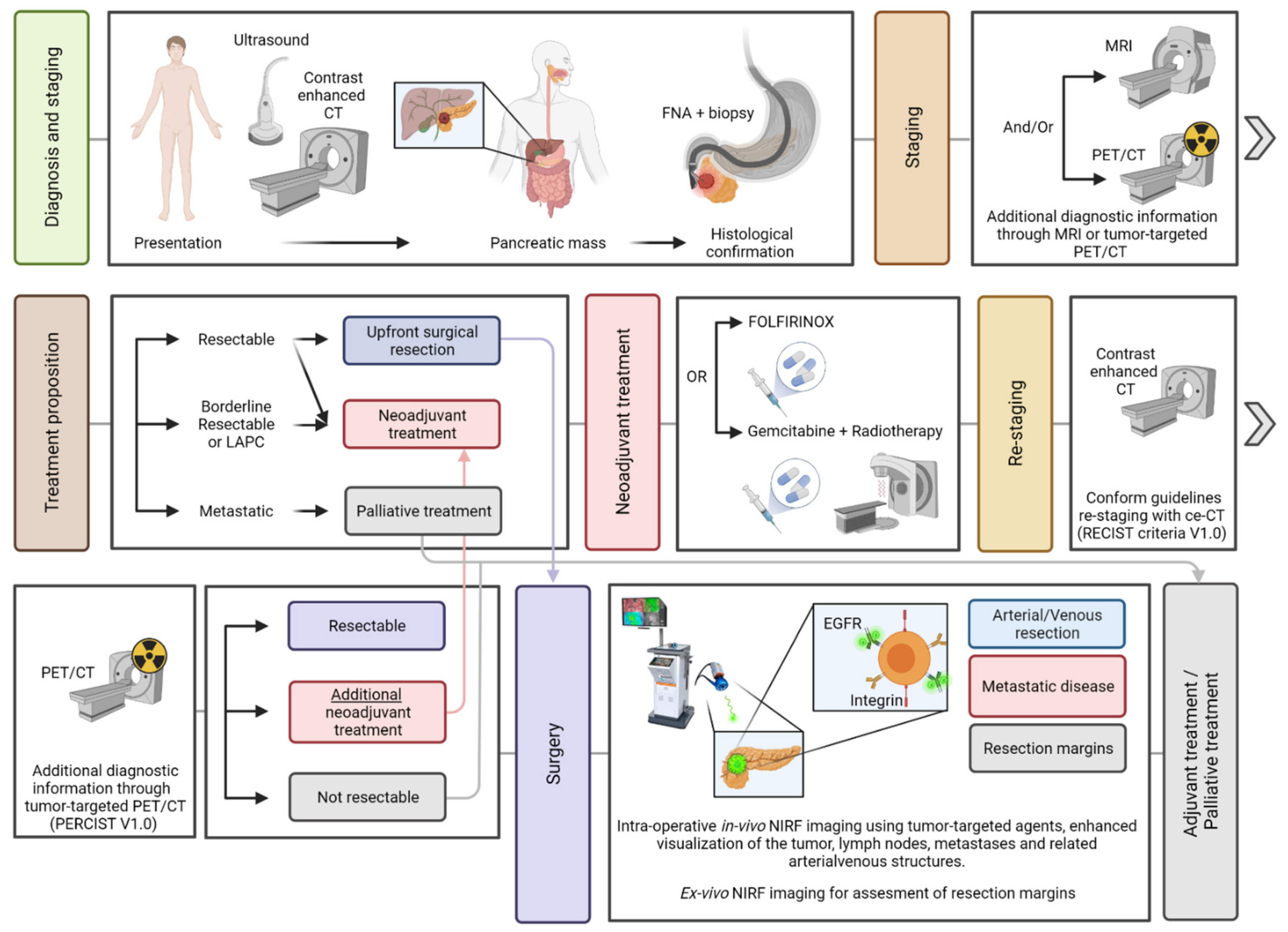 Cancers 13 06088 g001