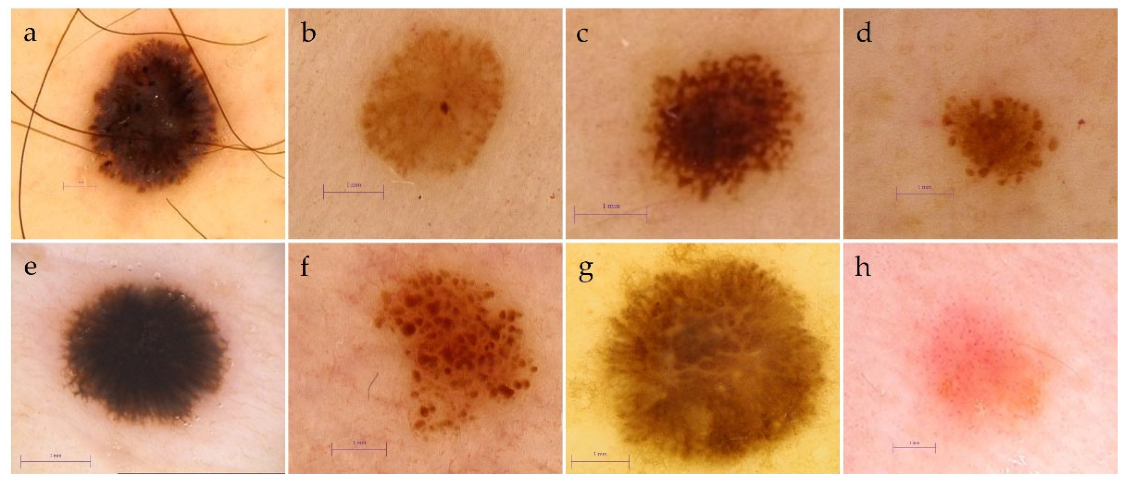 Cancers 13 06095 g001