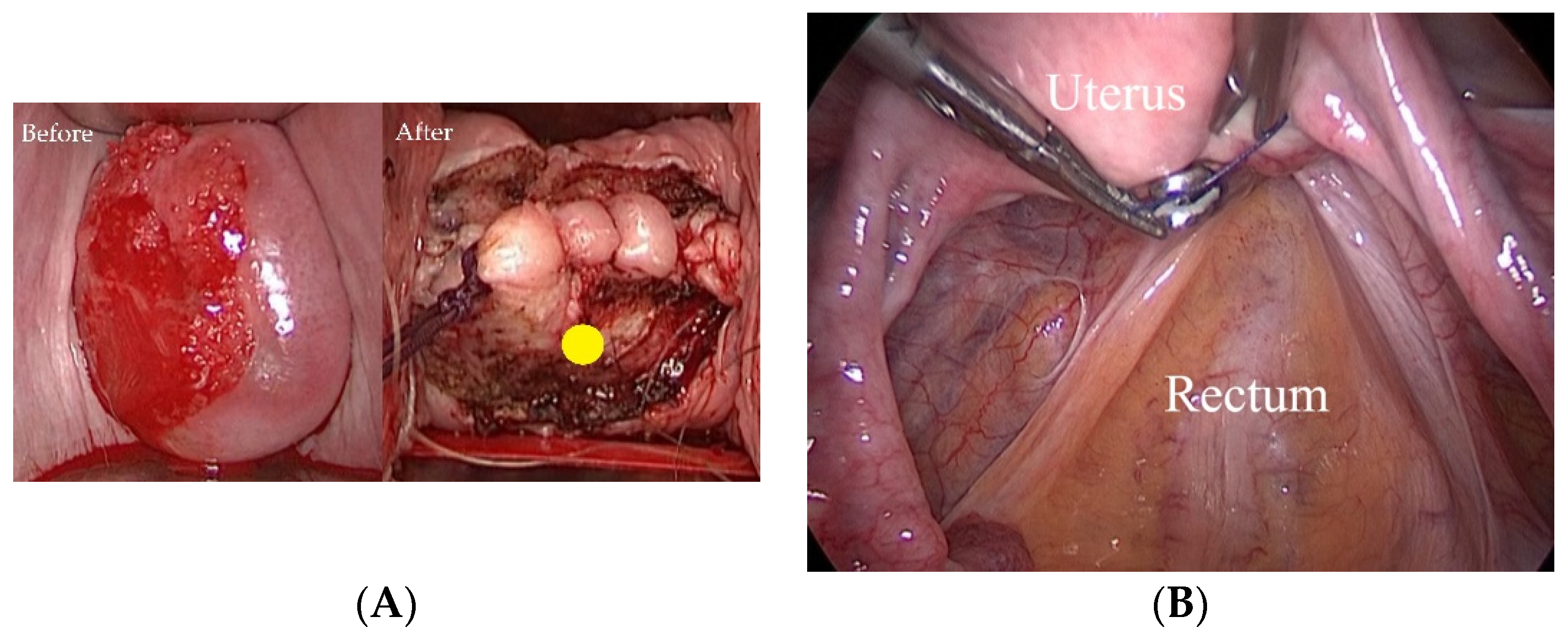 Cancers 13 06097 g001