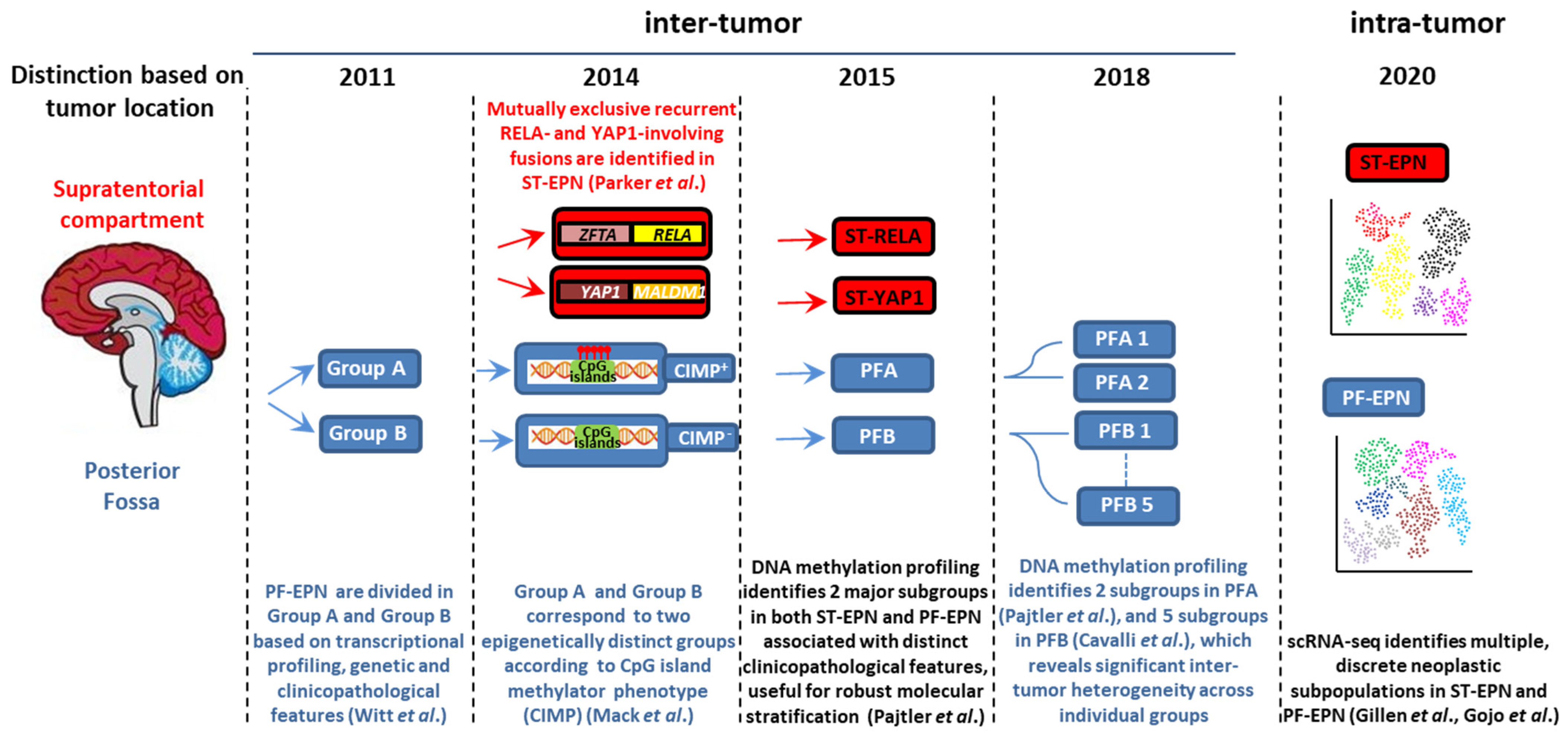 Cancers 13 06100 g001