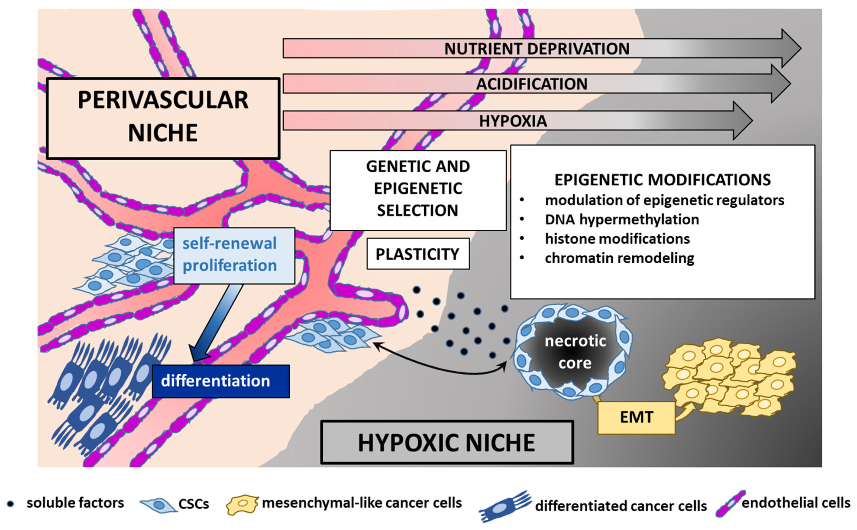 Cancers 13 06100 g004