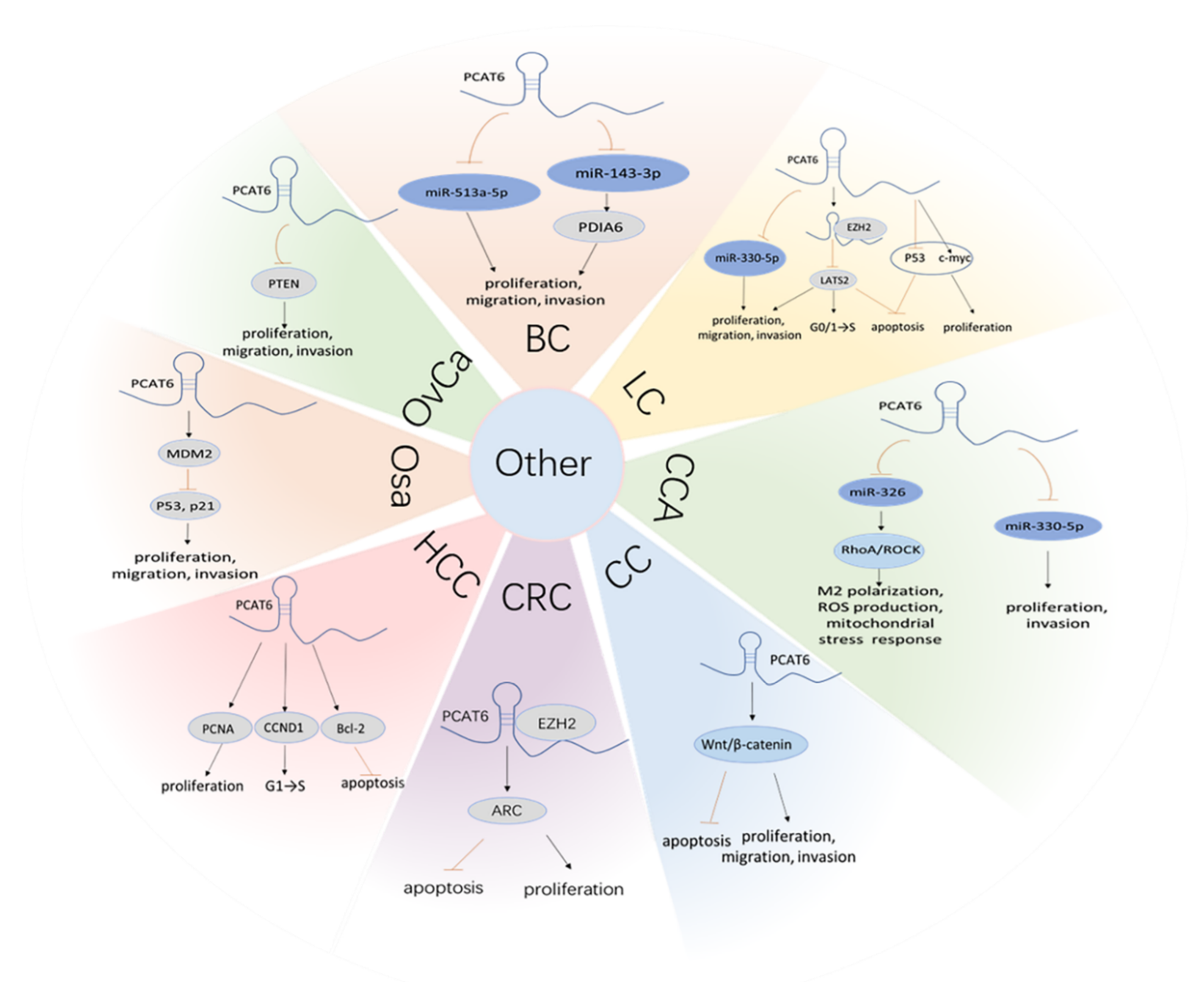 Cancers 13 06101 g005