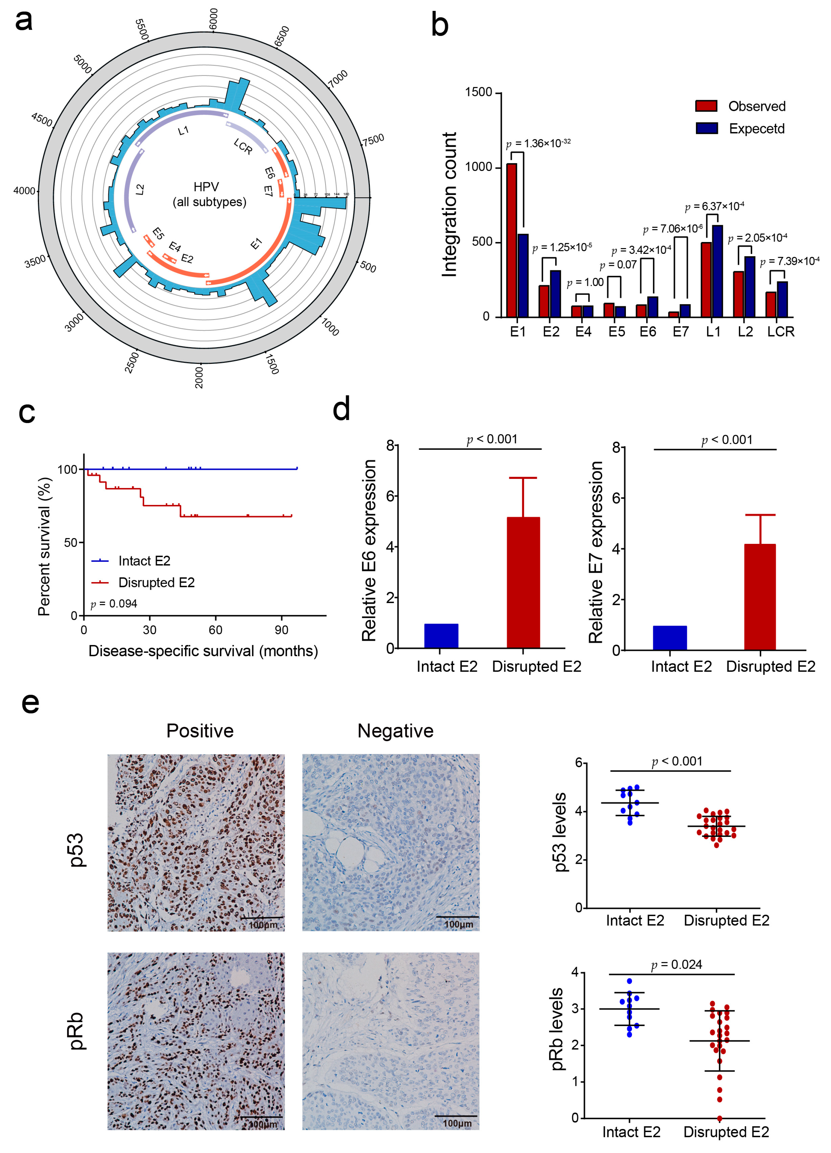 Cancers 13 06104 g003