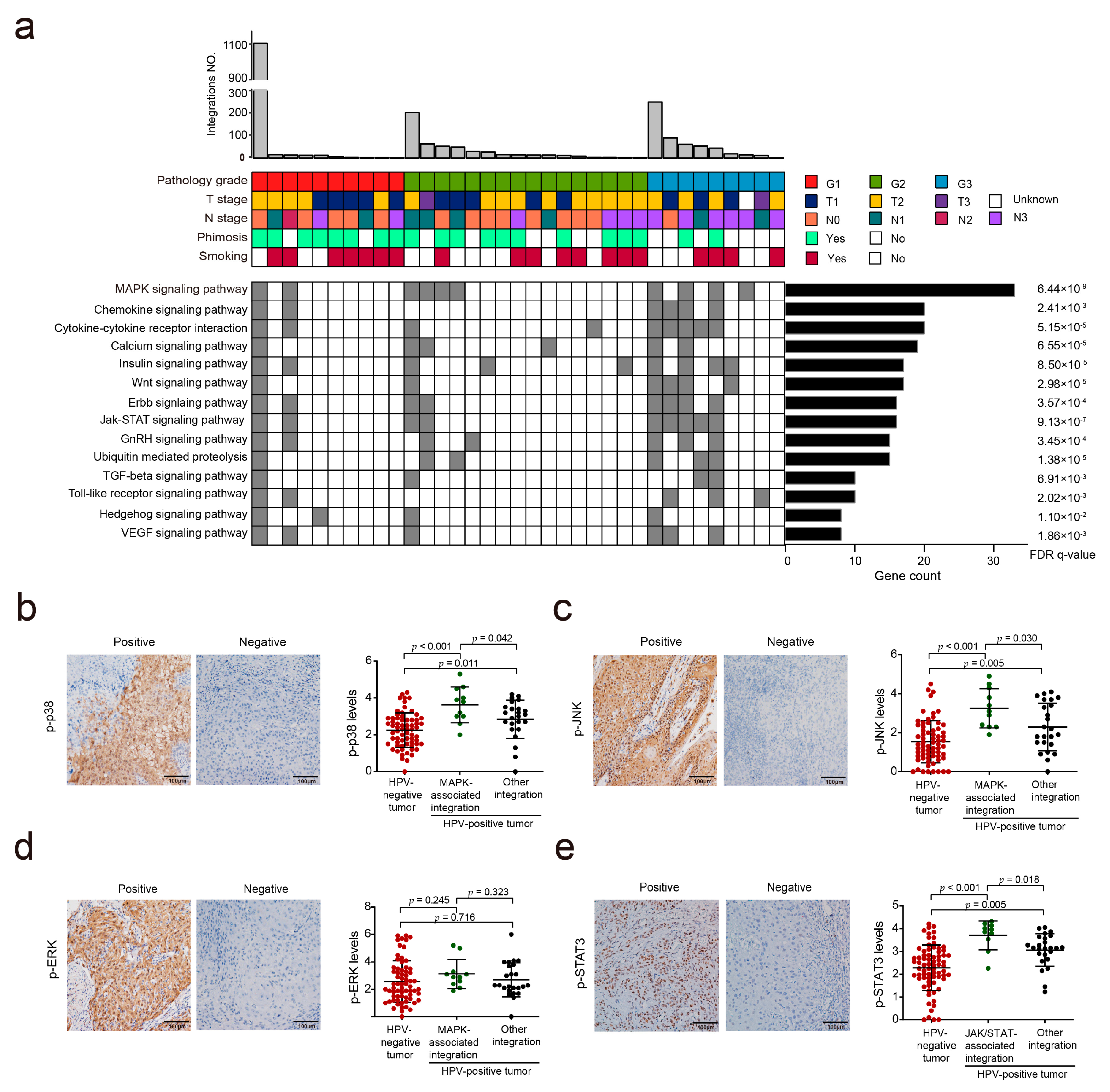 Cancers 13 06104 g004