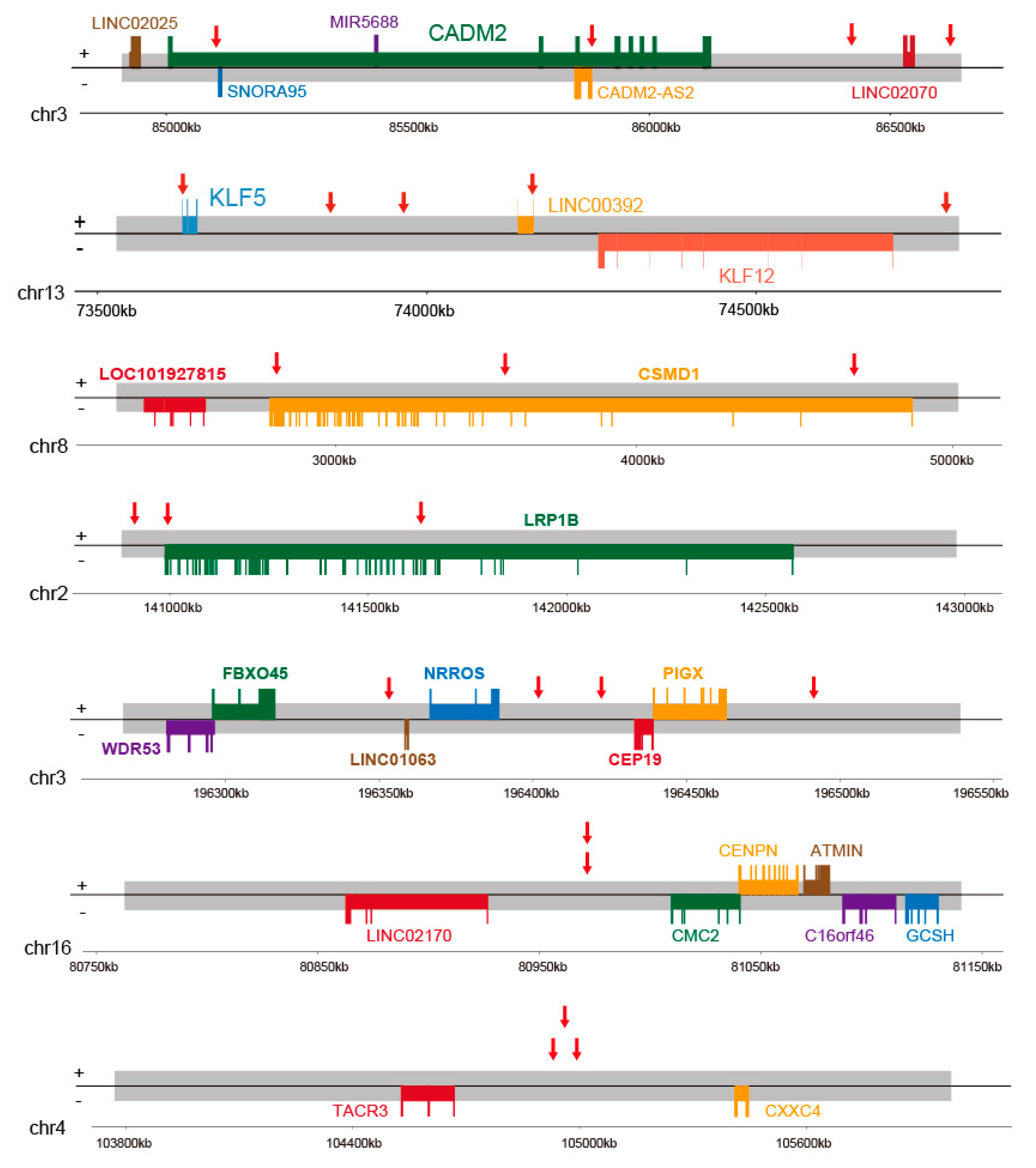 Cancers 13 06104 g005