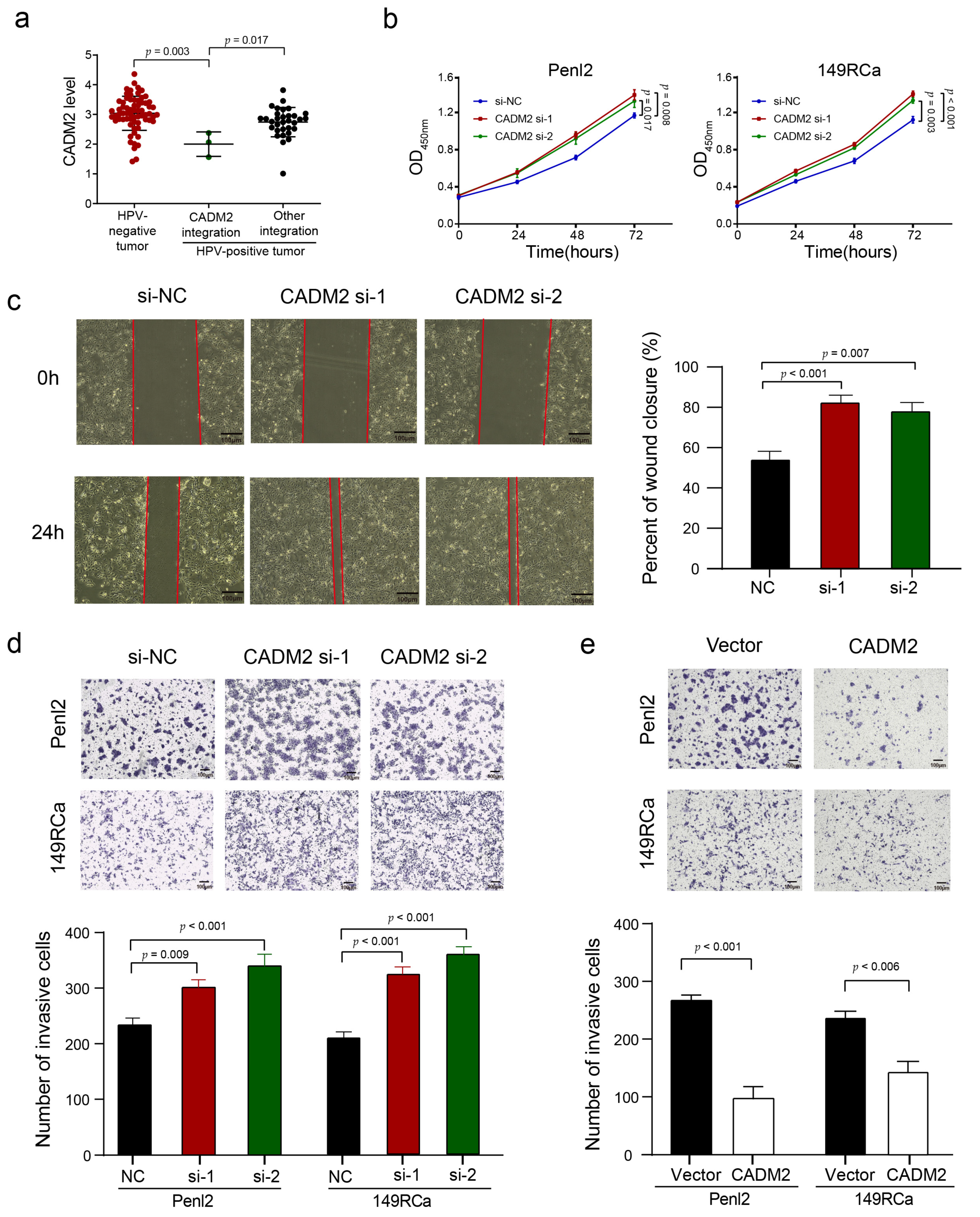 Cancers 13 06104 g006