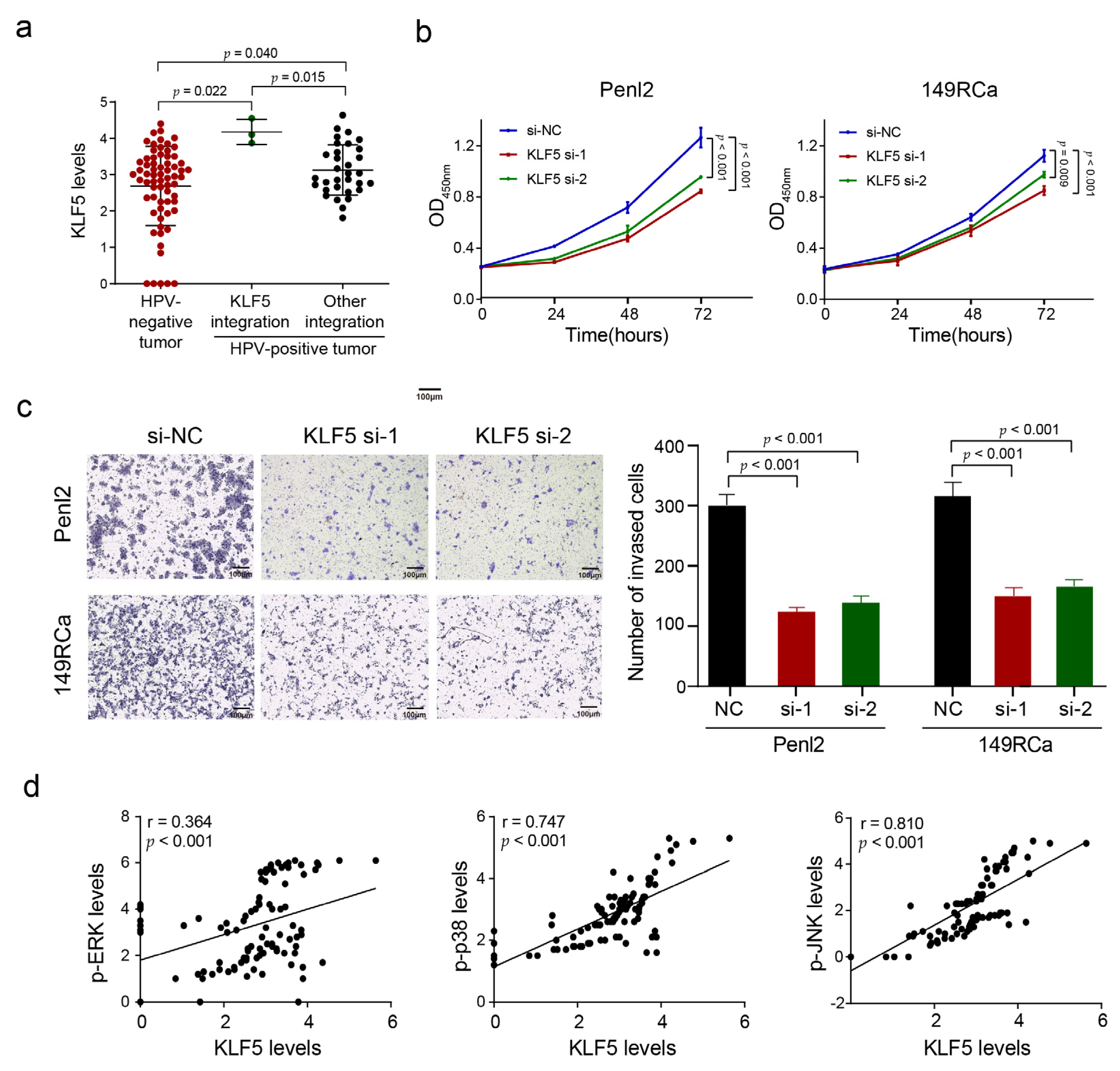 Cancers 13 06104 g007