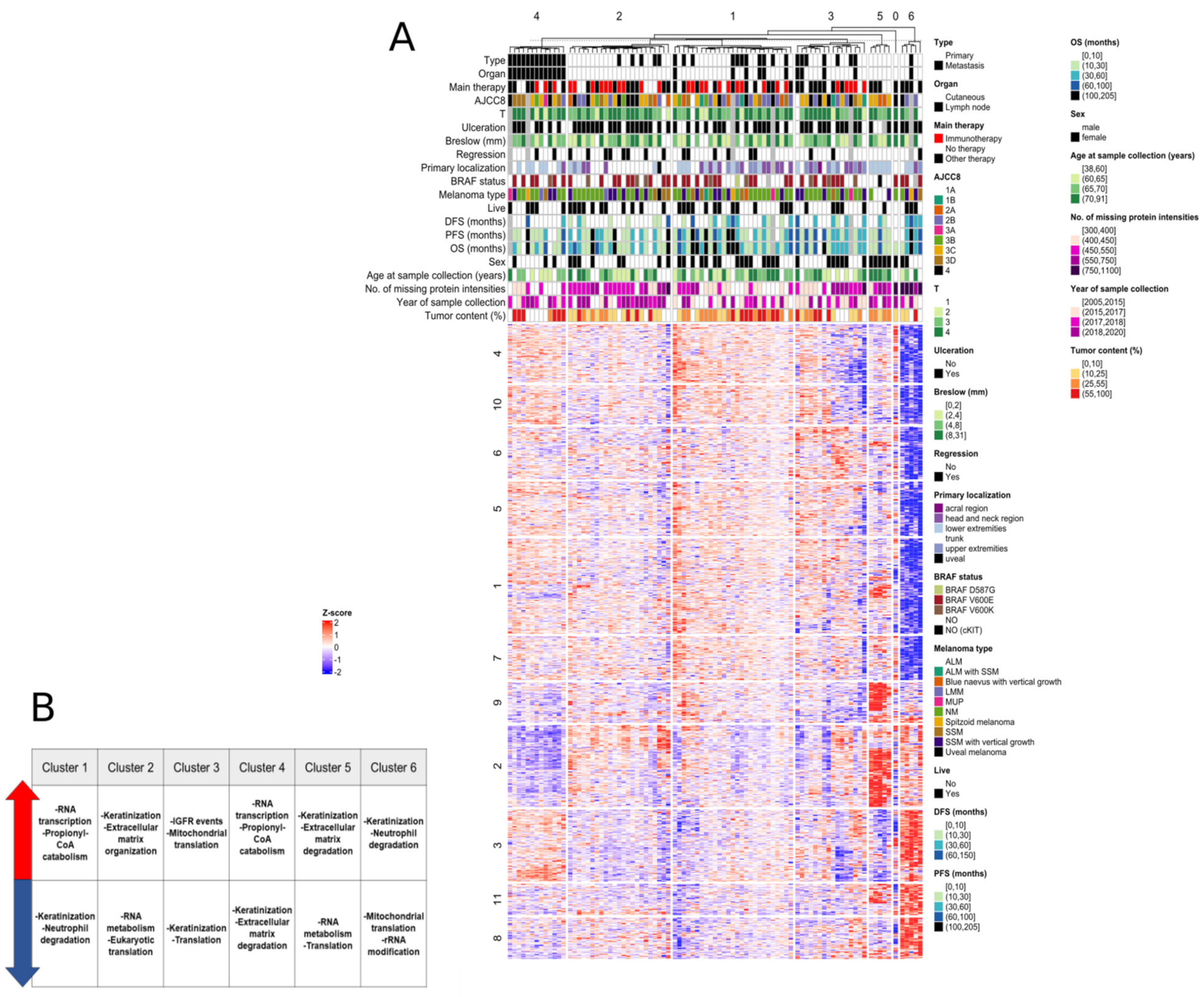 Cancers 13 06105 g003